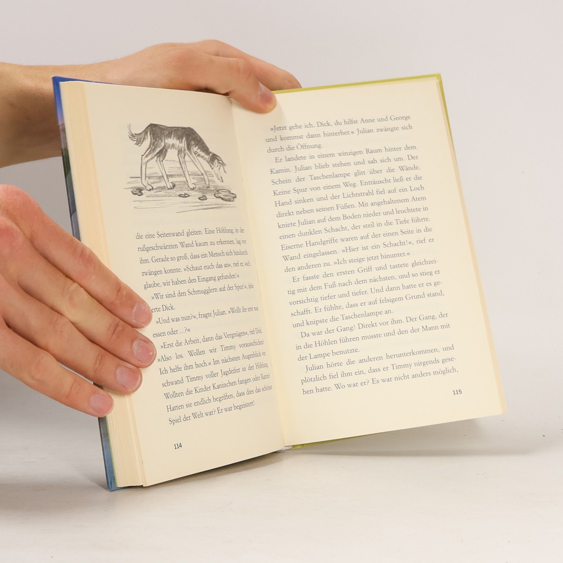 Enid Blyton Fünf Freunde verfolgen die Strandräuber