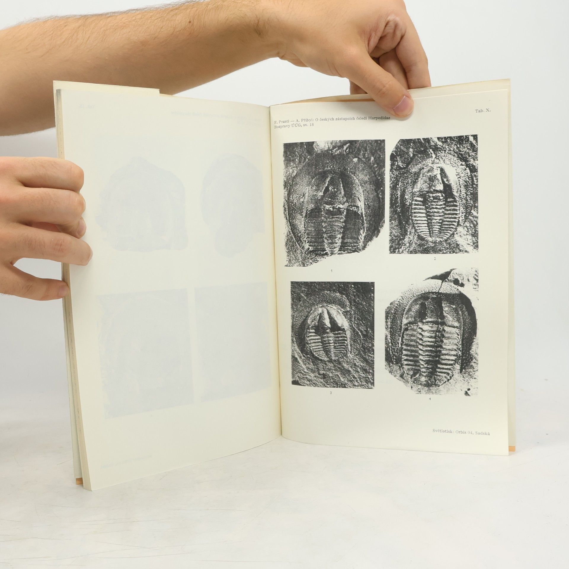 Zdeněk V. Špinar českých zástupcích čeledi Harpedidae (Hawle & Corda) (Trilobitae)