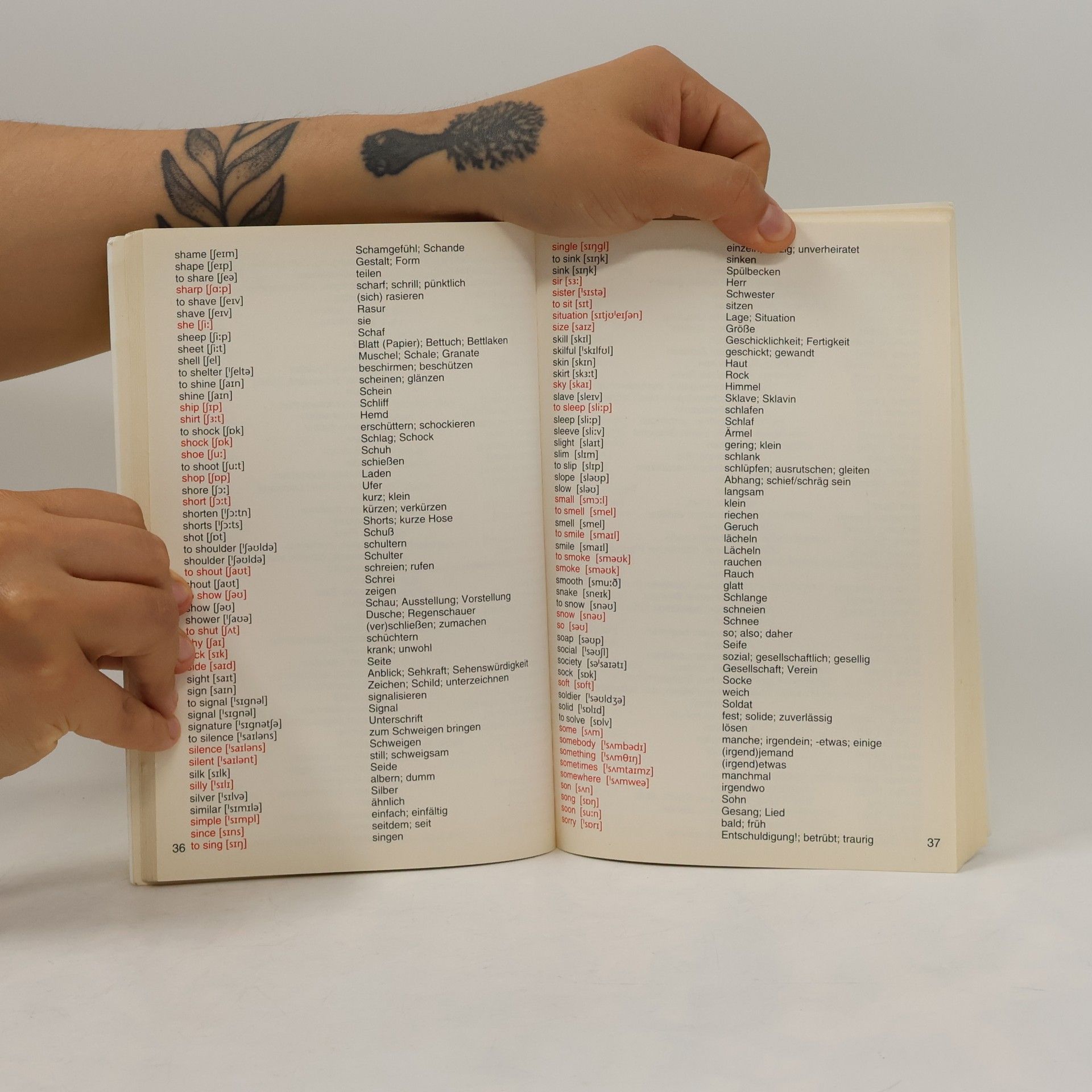 Lise Gribbin Englisch Grund- und Aufbauwortschatz leicht gemacht