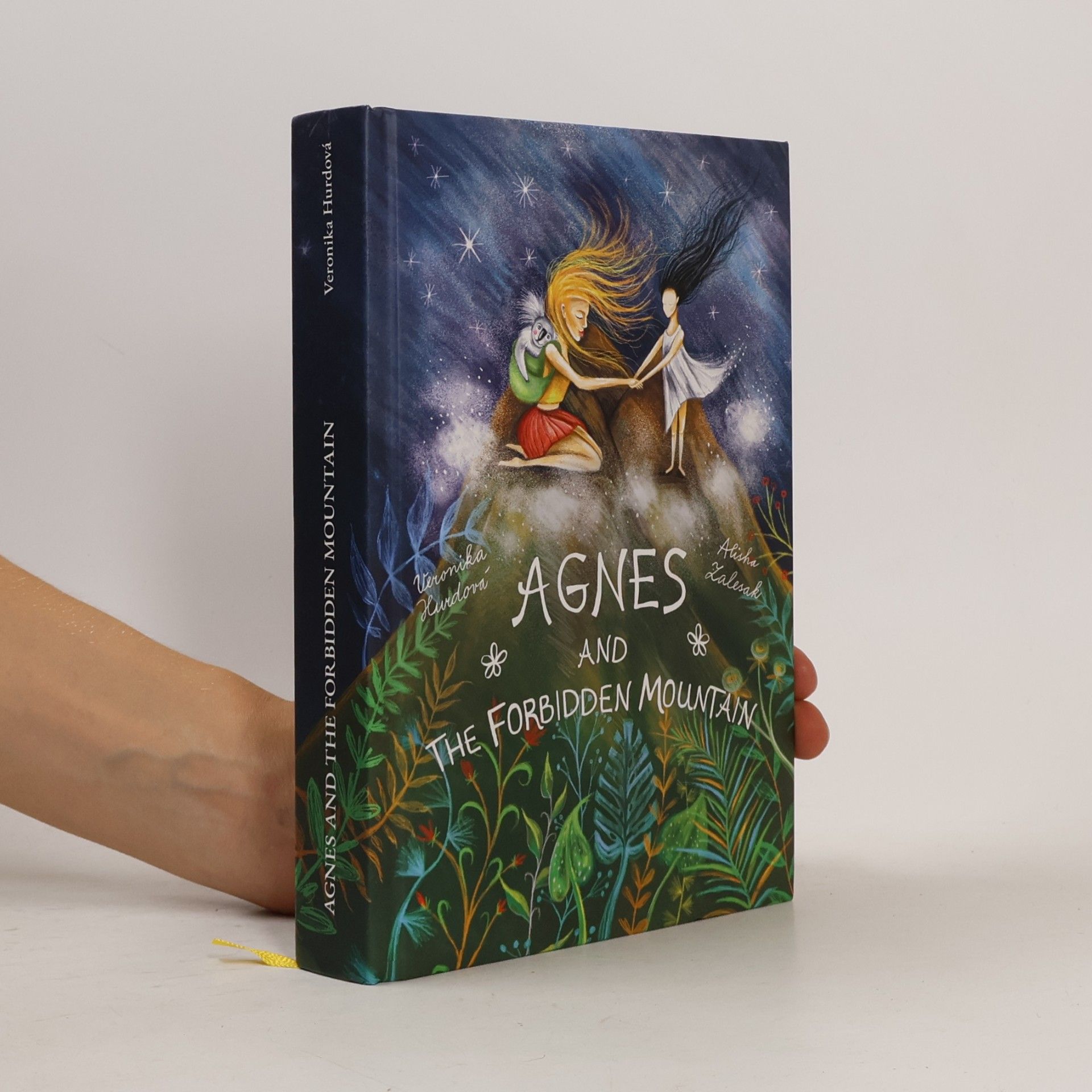 Veronika Hurdová Agnes and the Forbidden Mountain