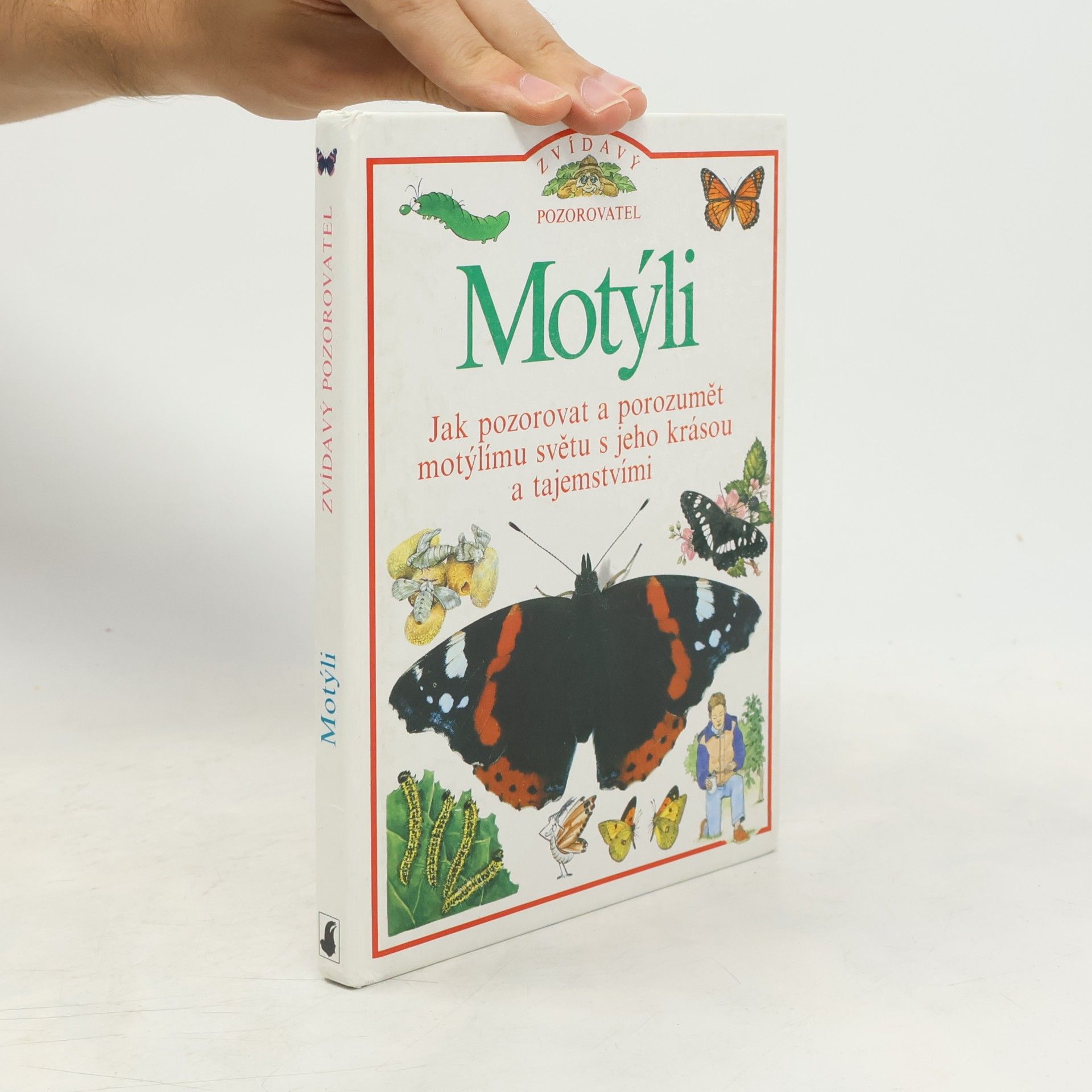 John Feltwell Motýli