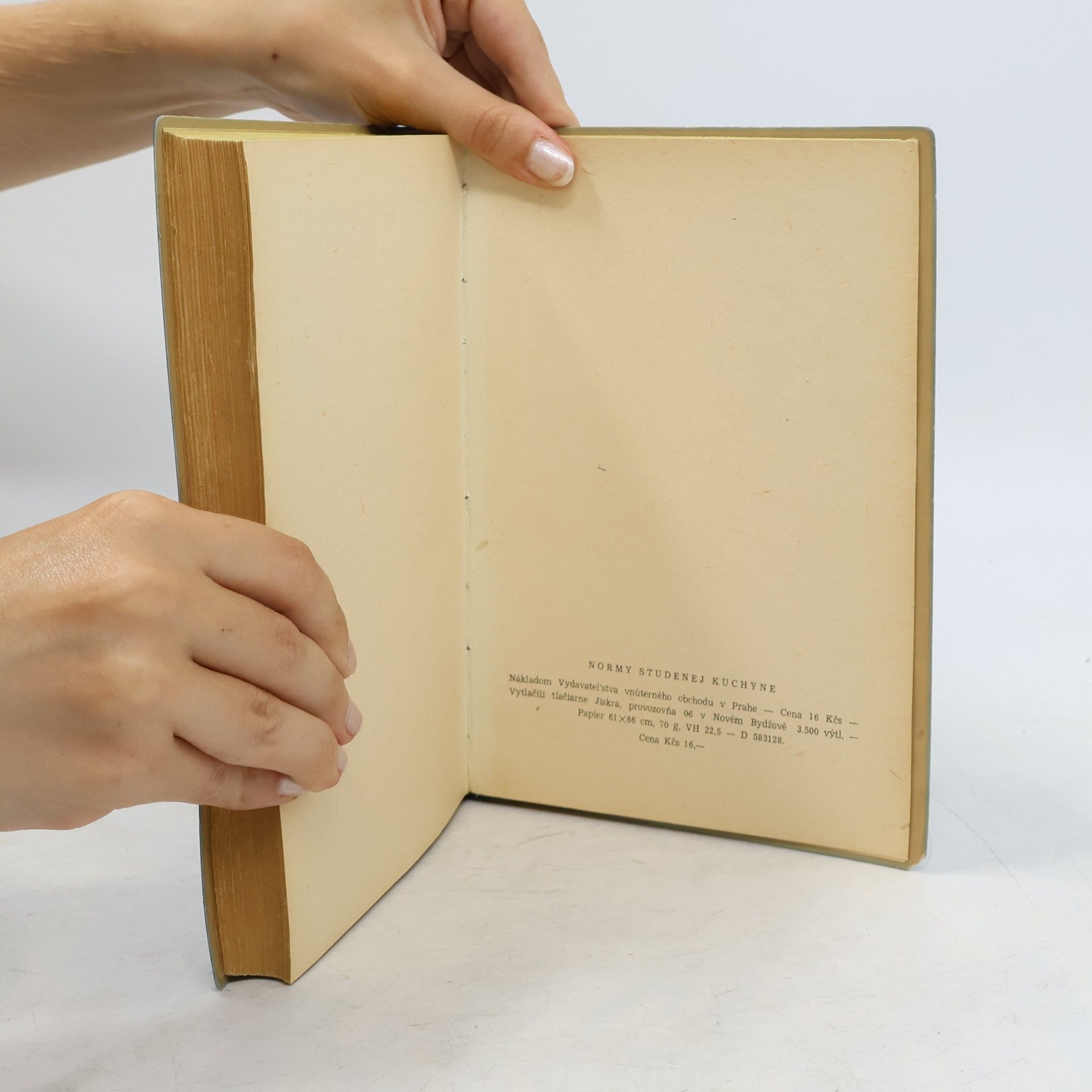 Various authors Normy studenej kuchyne