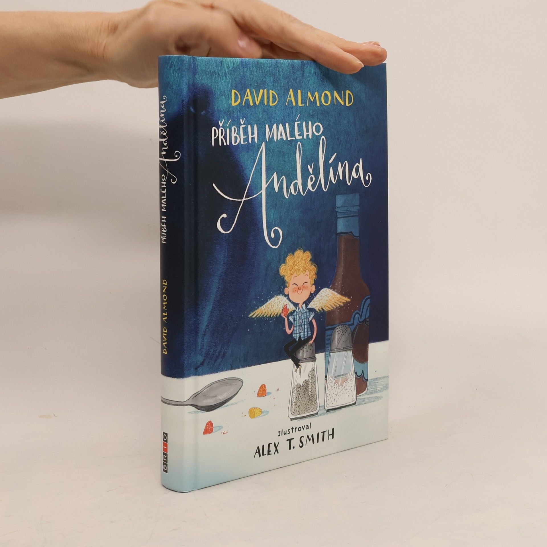 David Almond Příběh malého Andělína