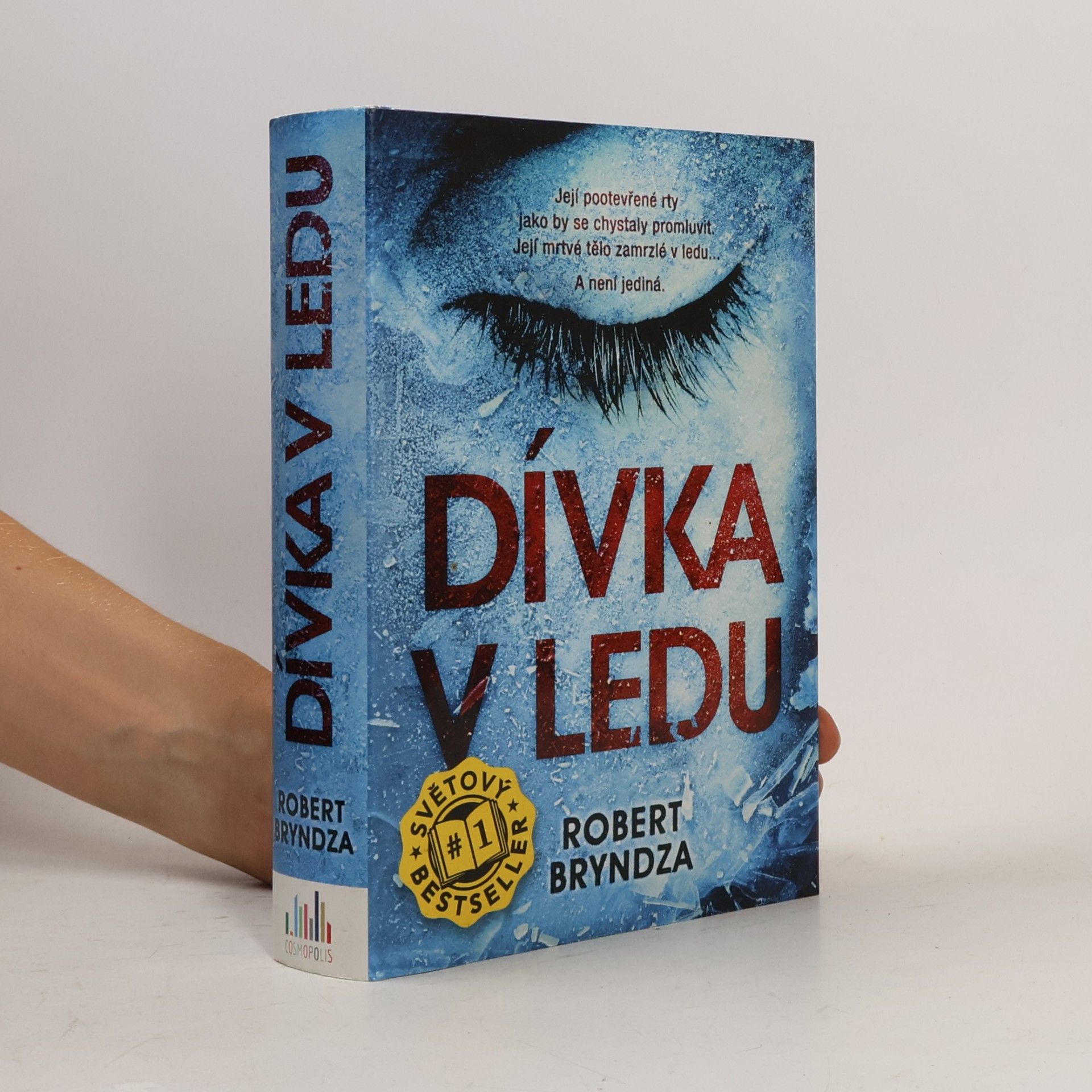 Robert Bryndza Dívka v ledu