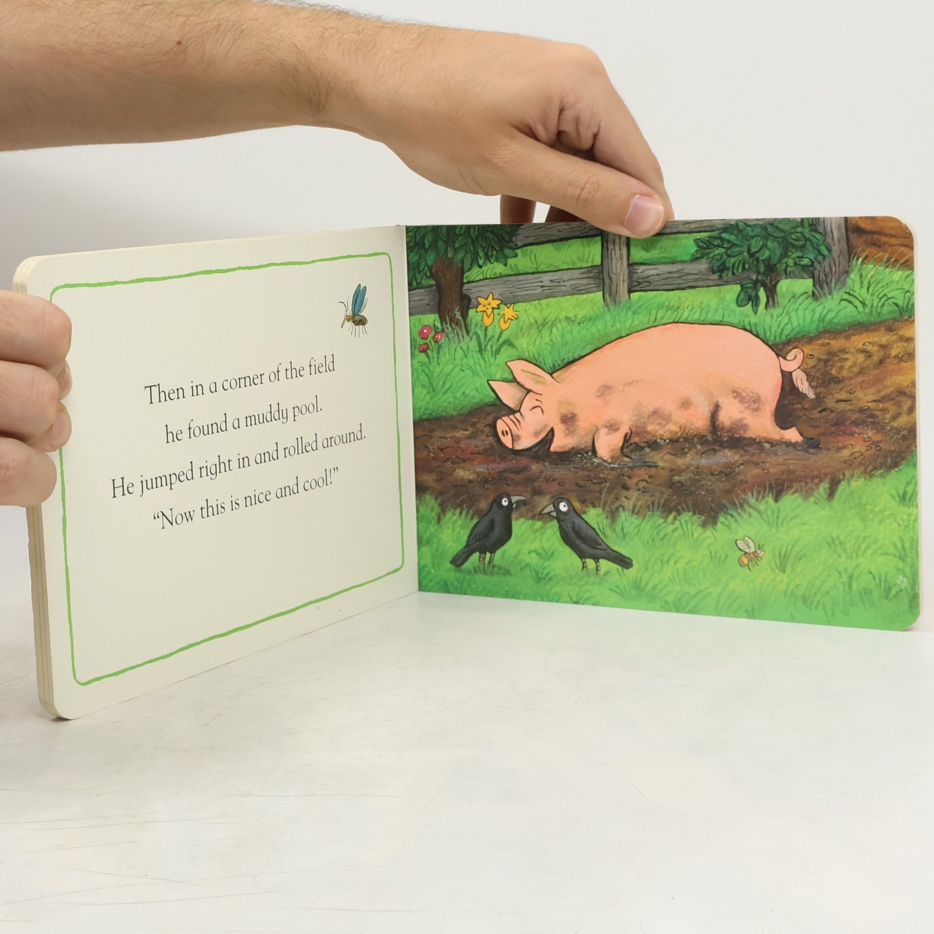 Axel Scheffler Portly Pig