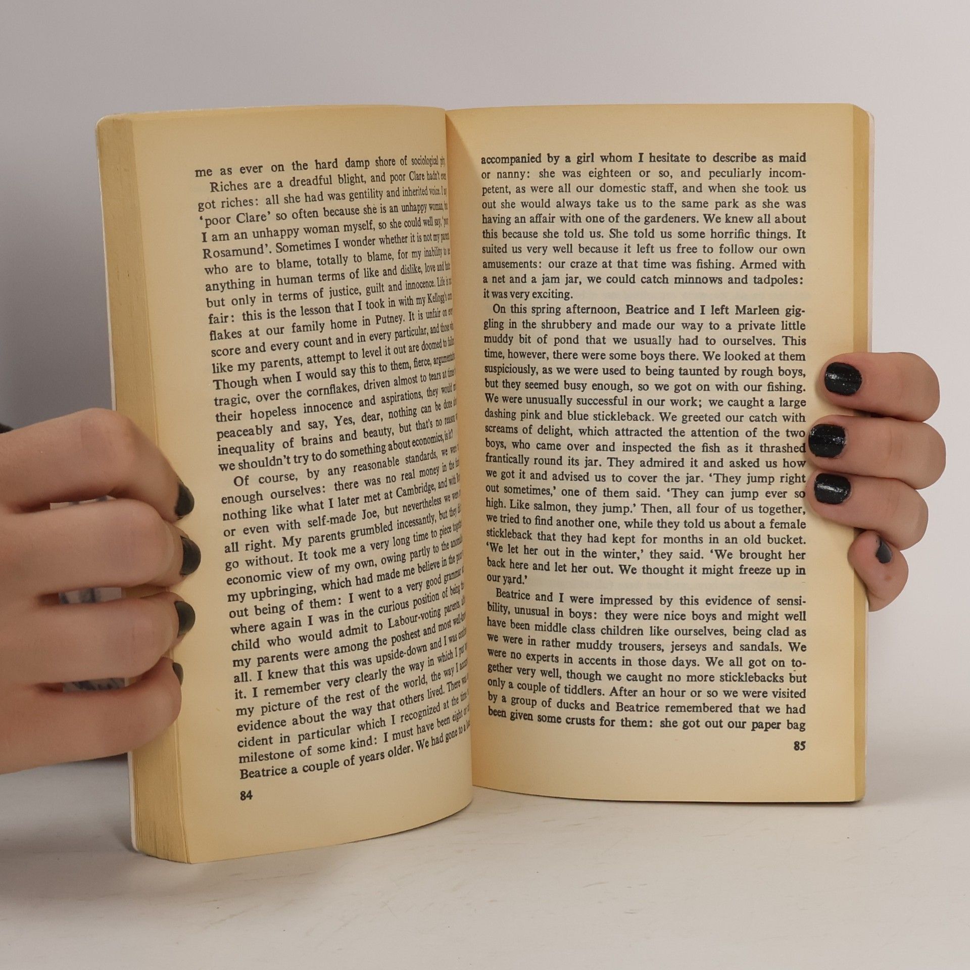 Margaret Drabble The Millstone