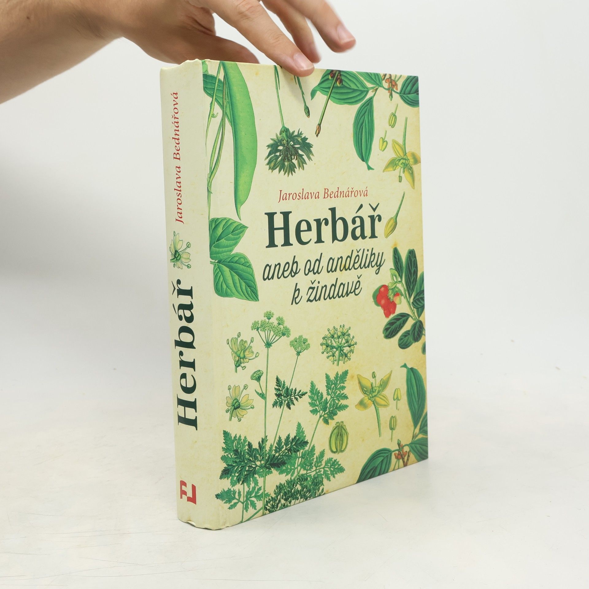 Jaroslava Bednářová Herbář, aneb, Od anděliky k žindavě