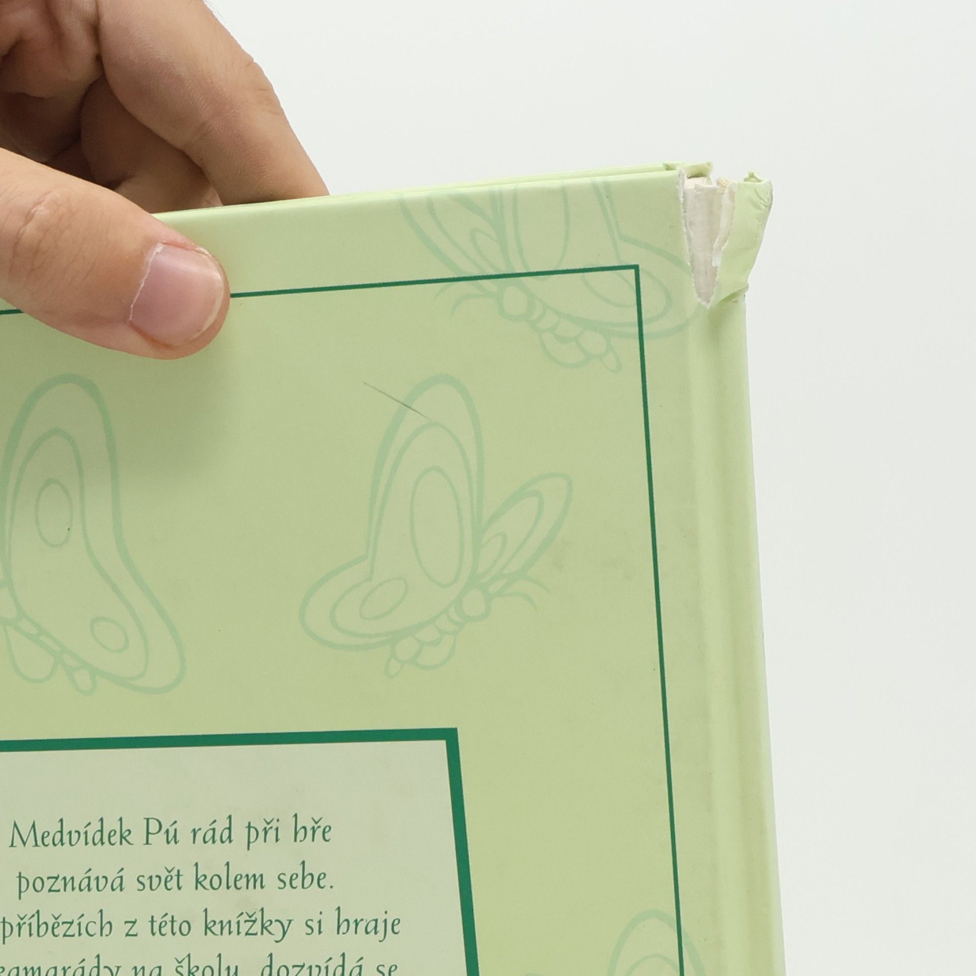 Walt Disney První kroky do světa s Medvídkem Pú