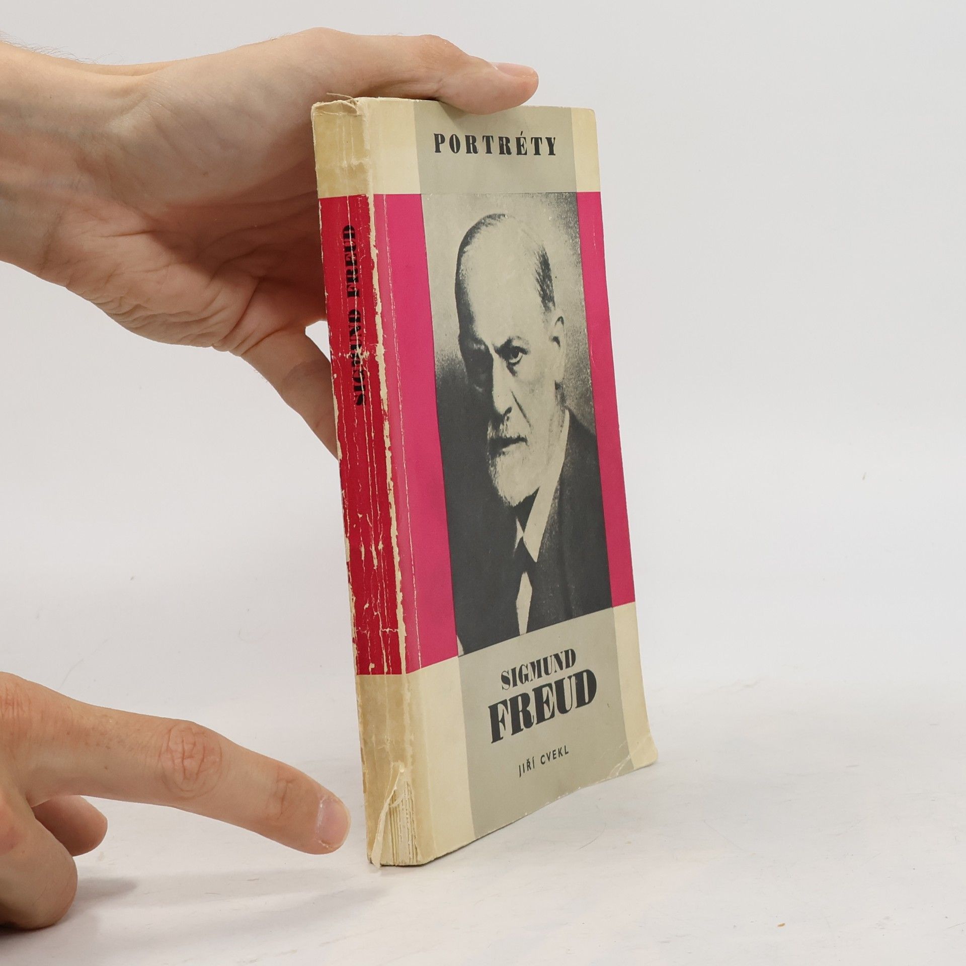 Jiří Cvekl Sigmund Freud