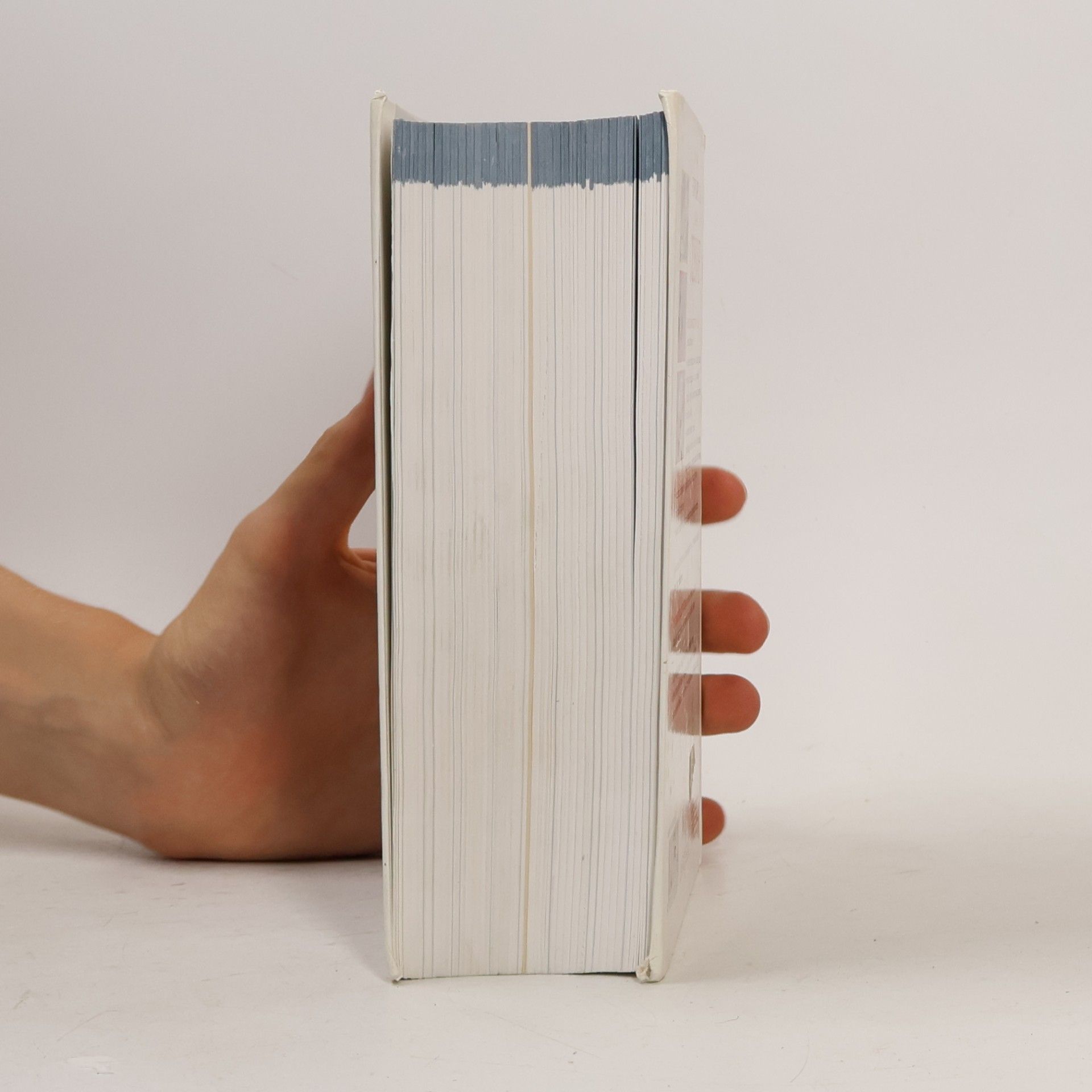 Autorenkollektiv Petit larousse de la cuisine