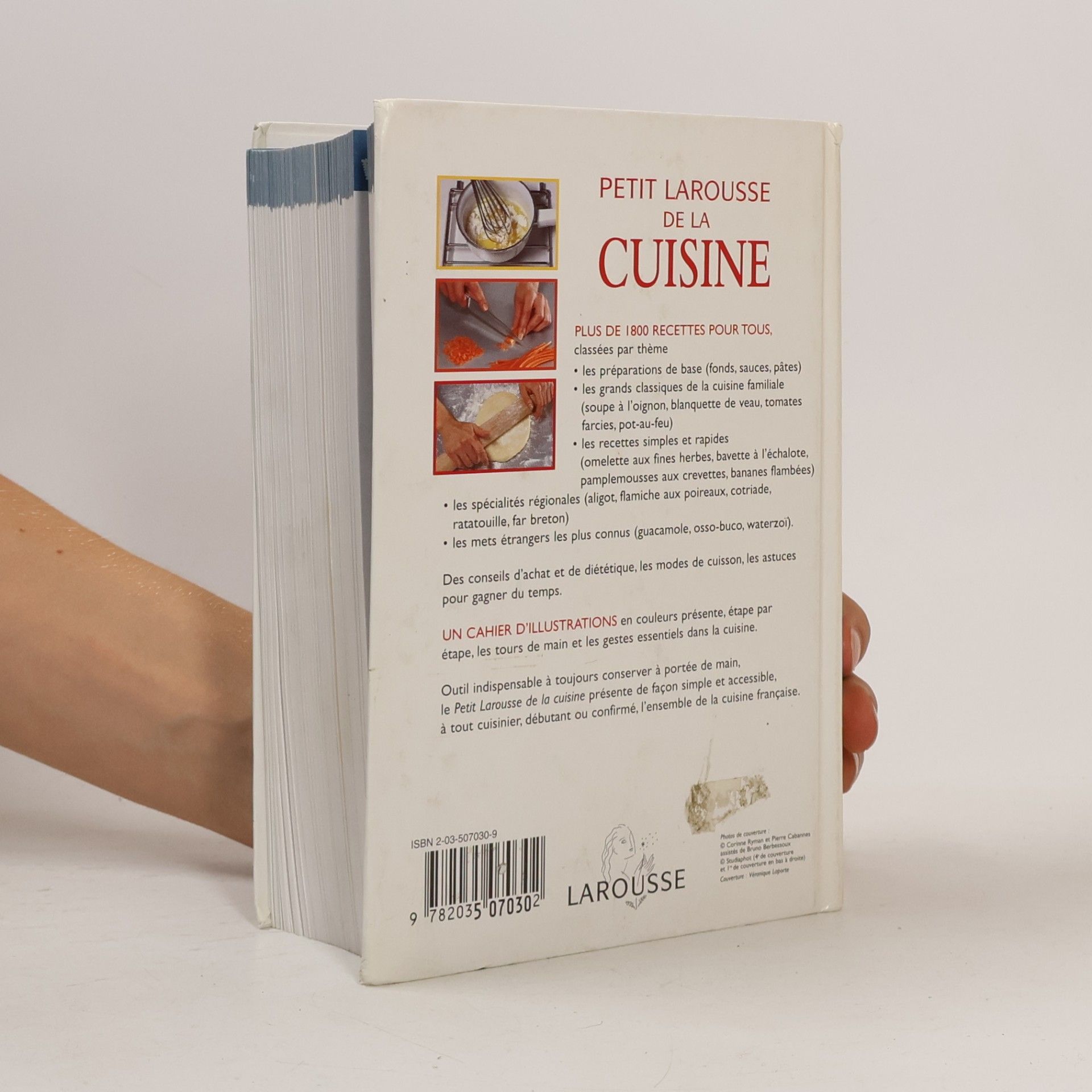Autorenkollektiv Petit larousse de la cuisine