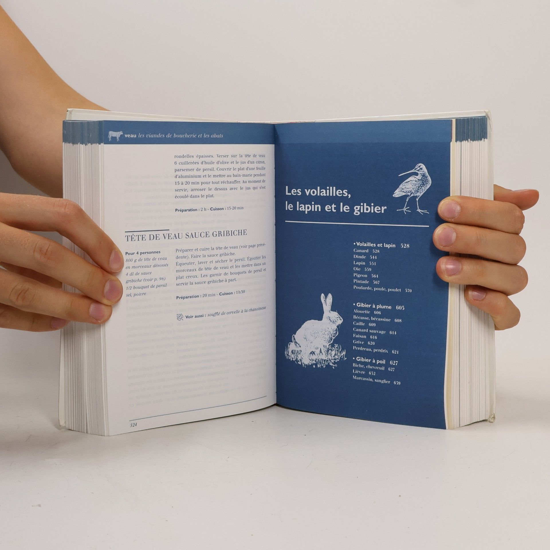 Autorenkollektiv Petit larousse de la cuisine