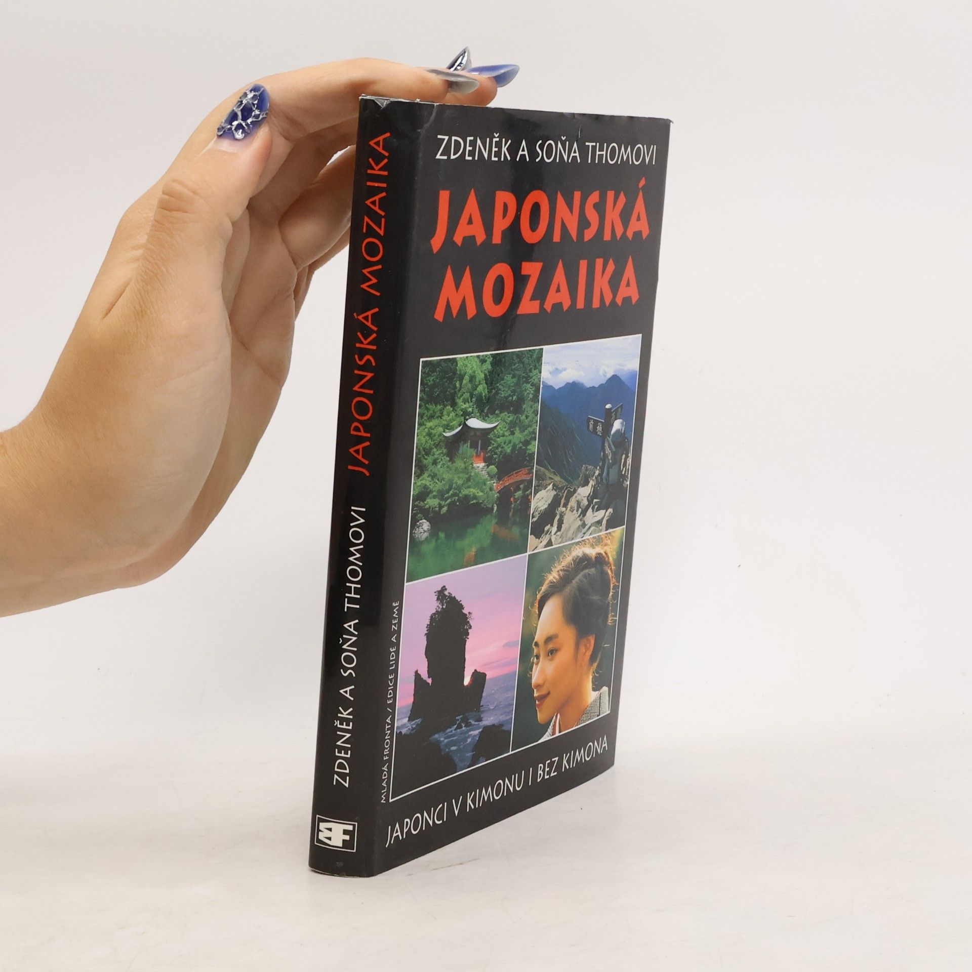Japonská mozaika