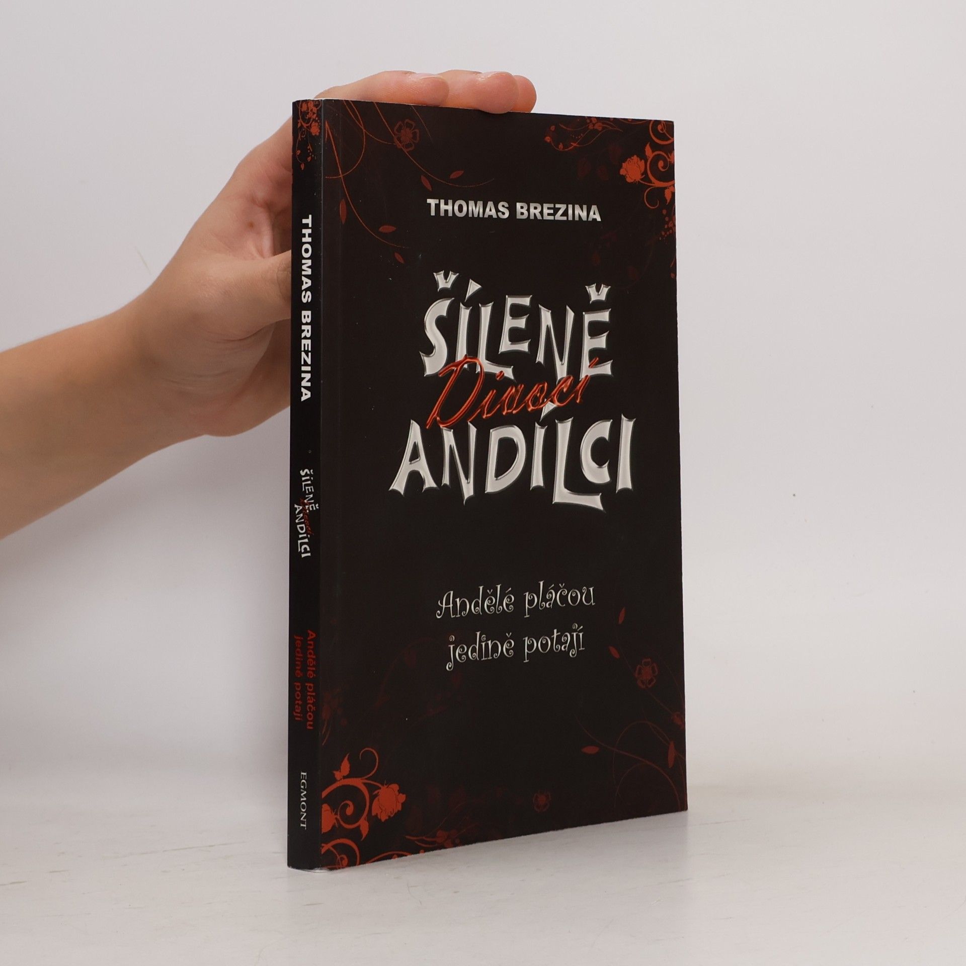 Thomas Brezina Andělé pláčou jedině potají
