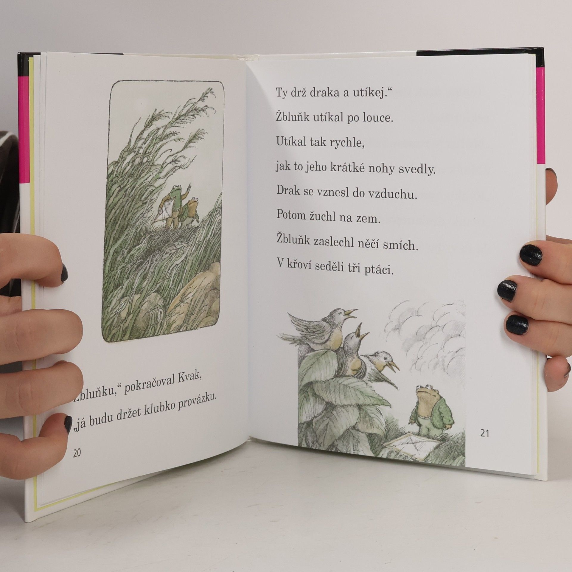 Arnold Lobel Kvak a Žbluňk se bojí rádi