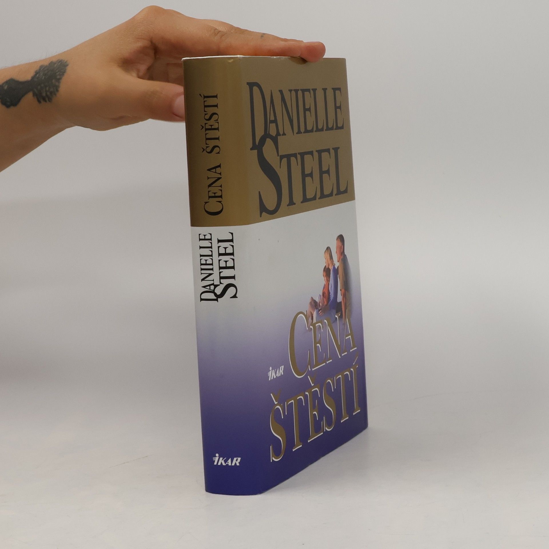 Danielle Steel Cena štěstí