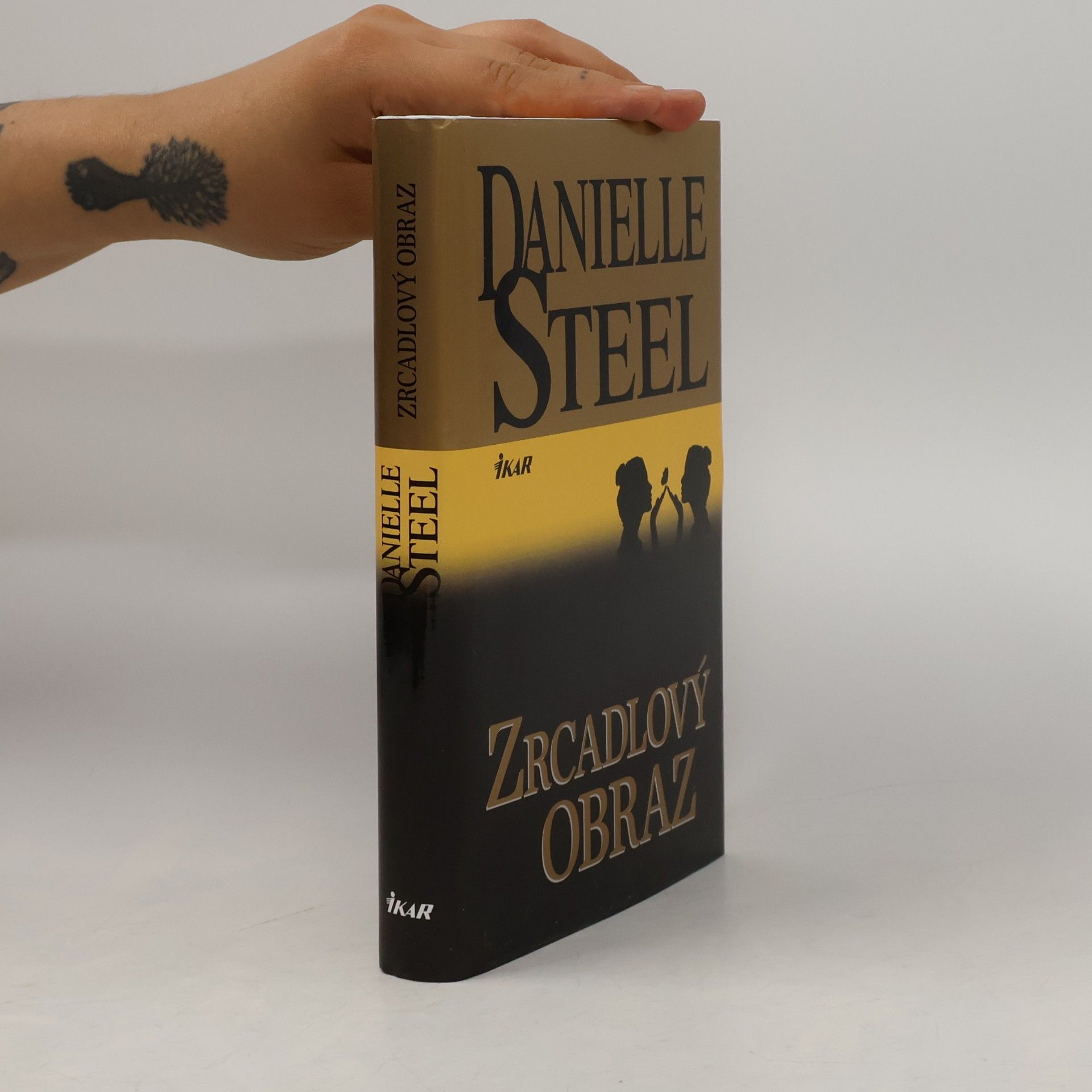 Danielle Steel Zrcadlový obraz