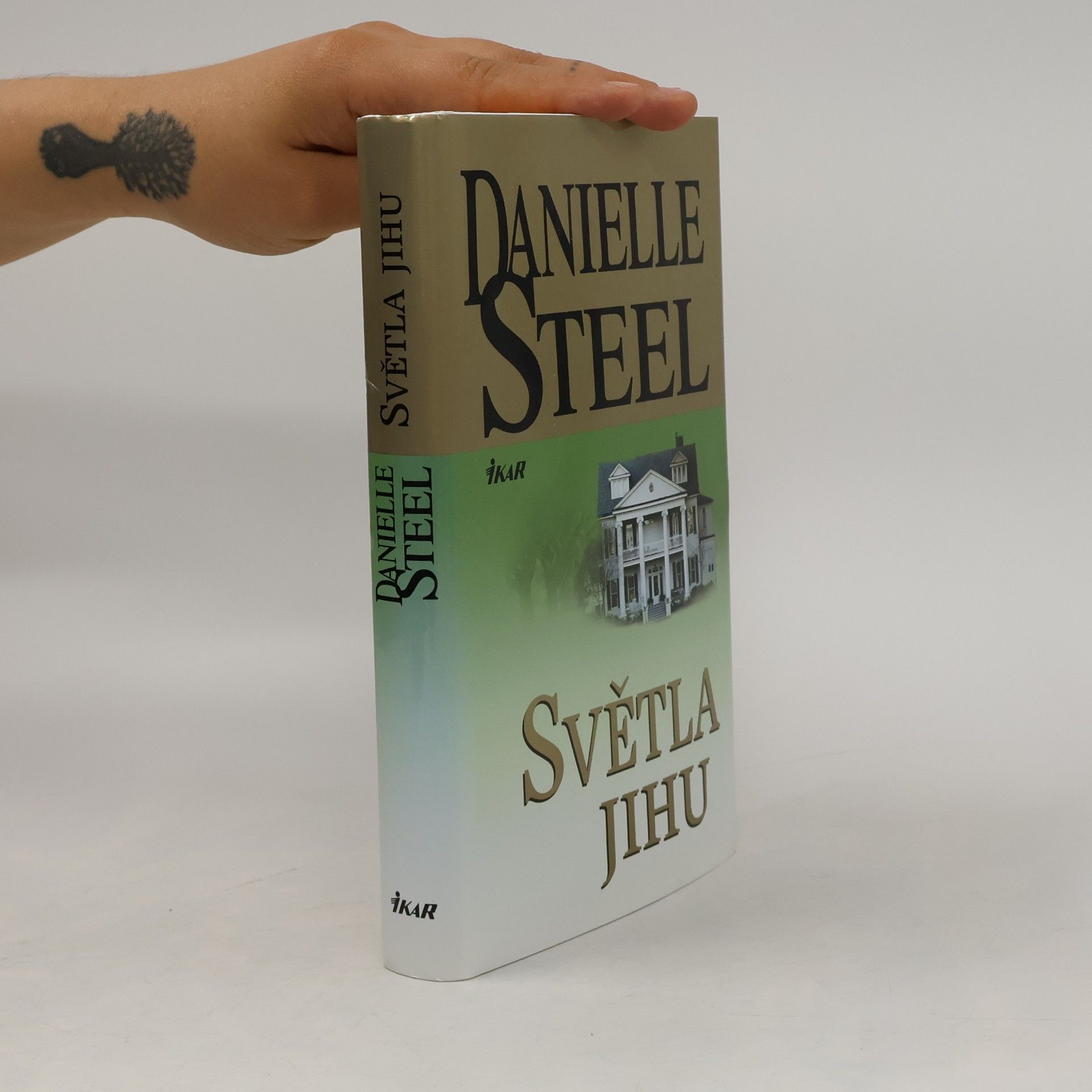 Danielle Steel Světla Jihu