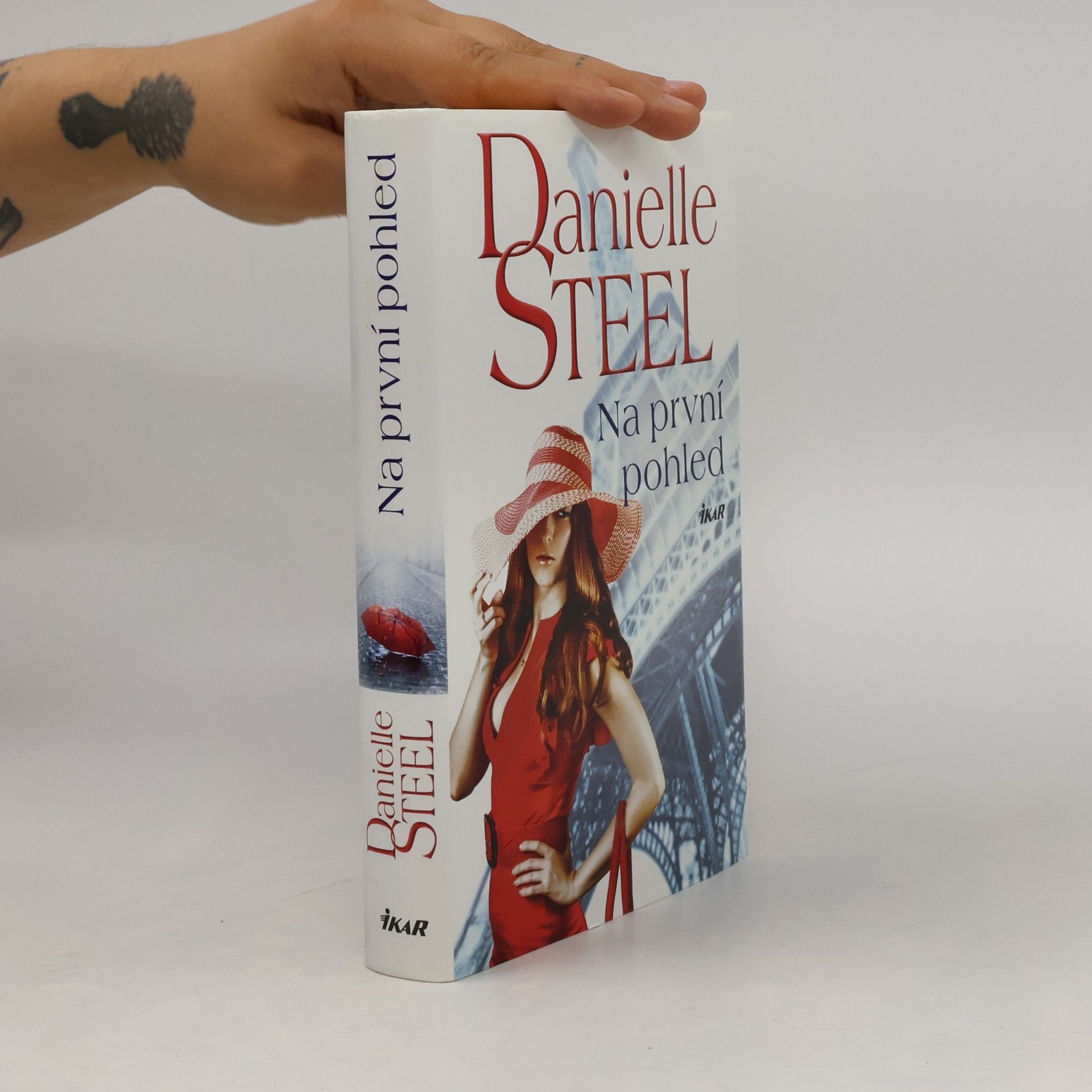 Danielle Steel Na první pohled
