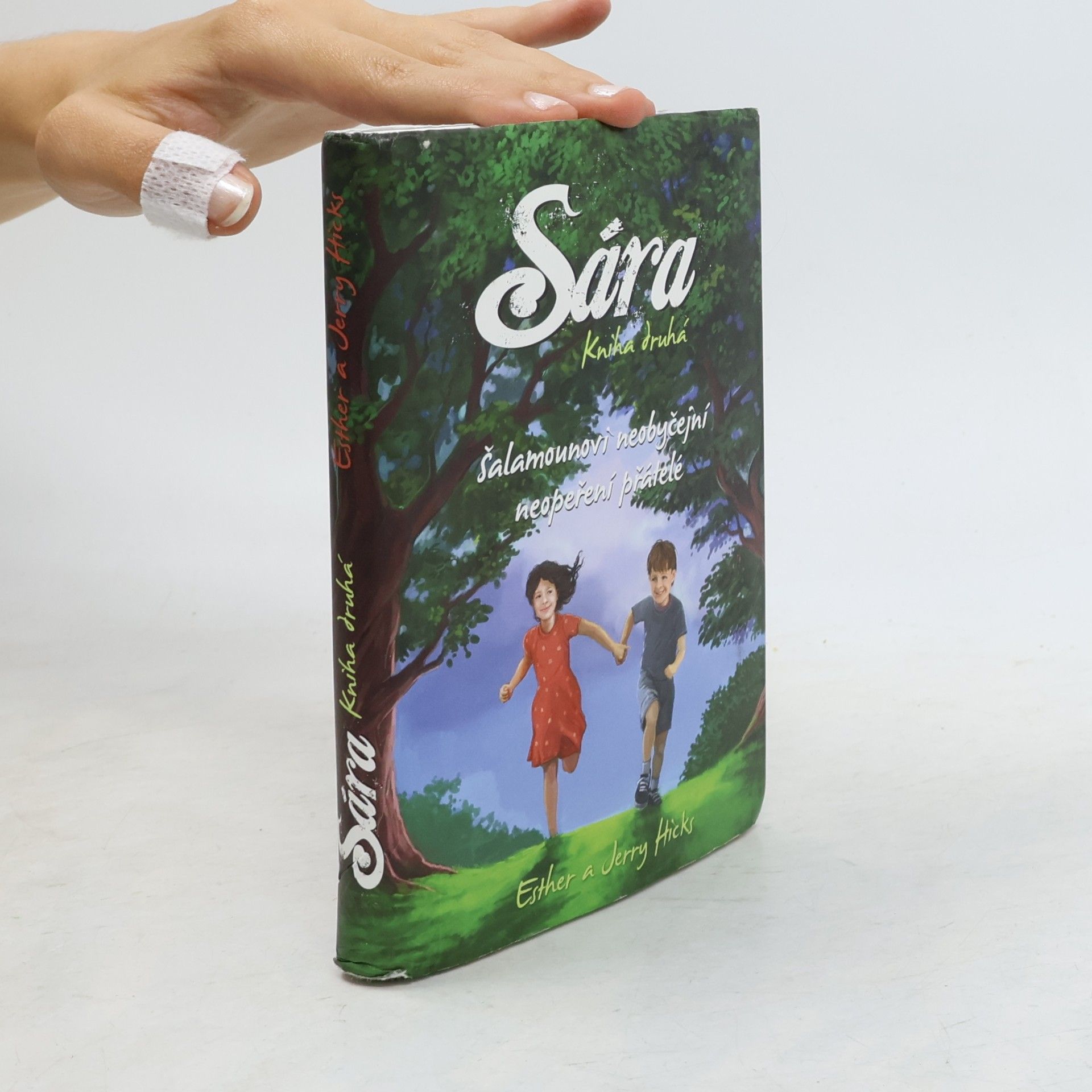 Esther Hicks Sára. Kniha druhá, Šalamounovi neobyčejní neopeření přátelé