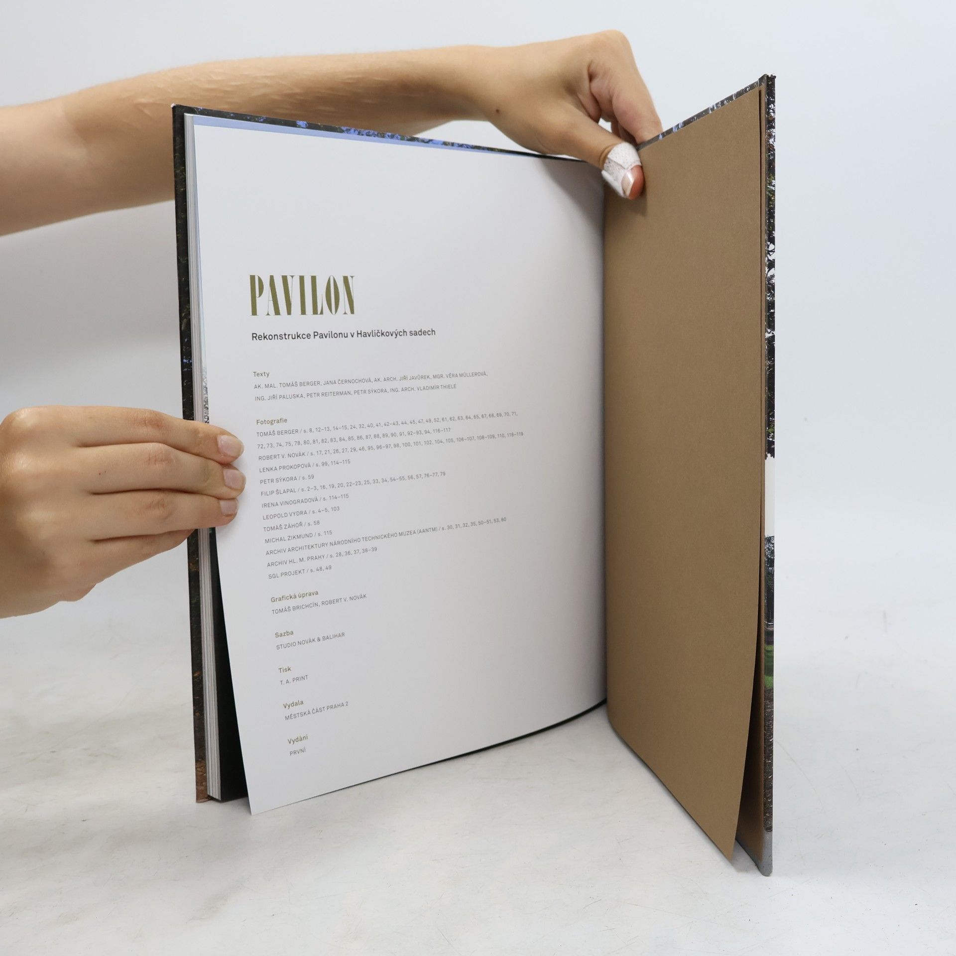 Autorenkollektiv Pavilon: Rekonstrukce Pavilonu v Havlíčkových sadech