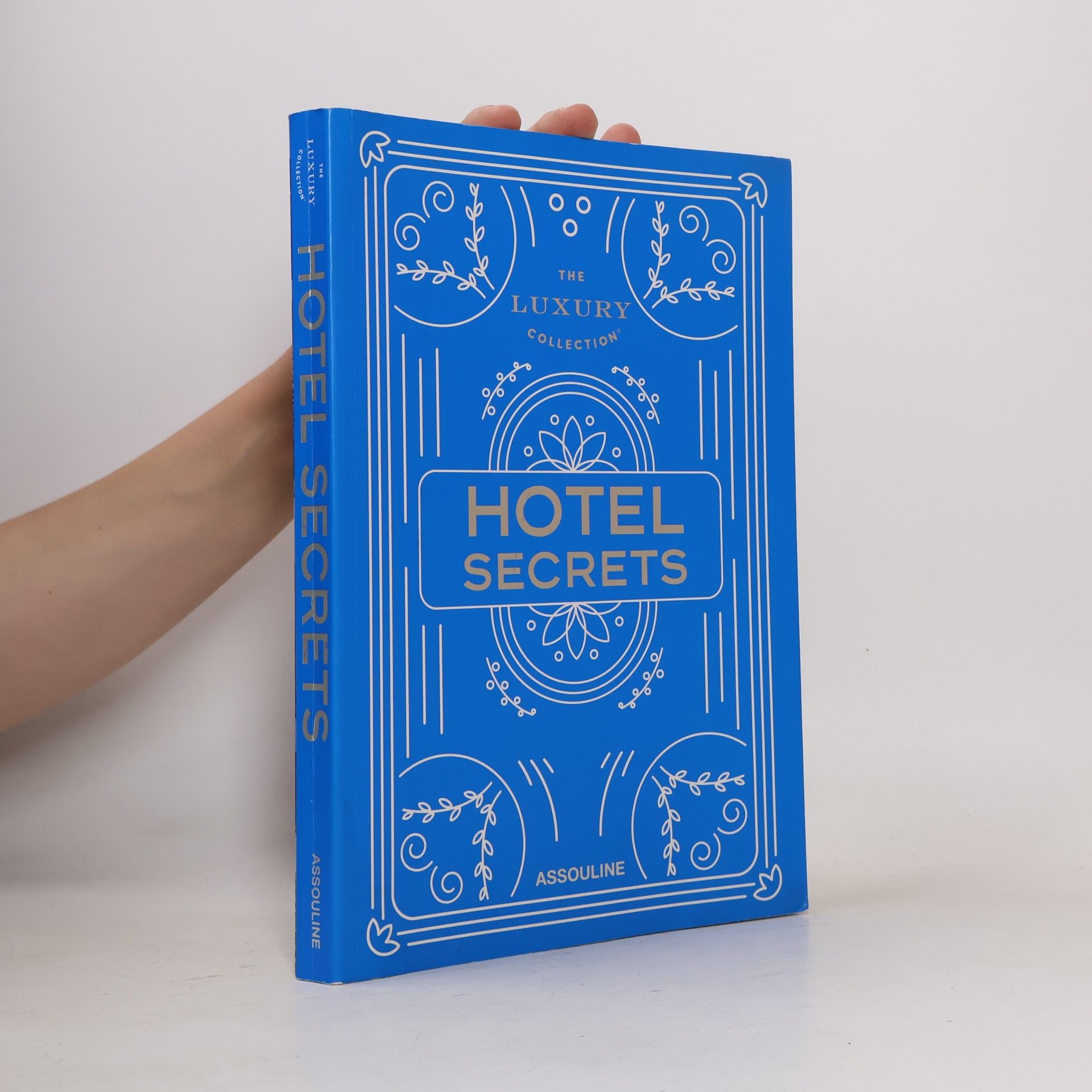 Kolektiv autorů Hotel Secrets