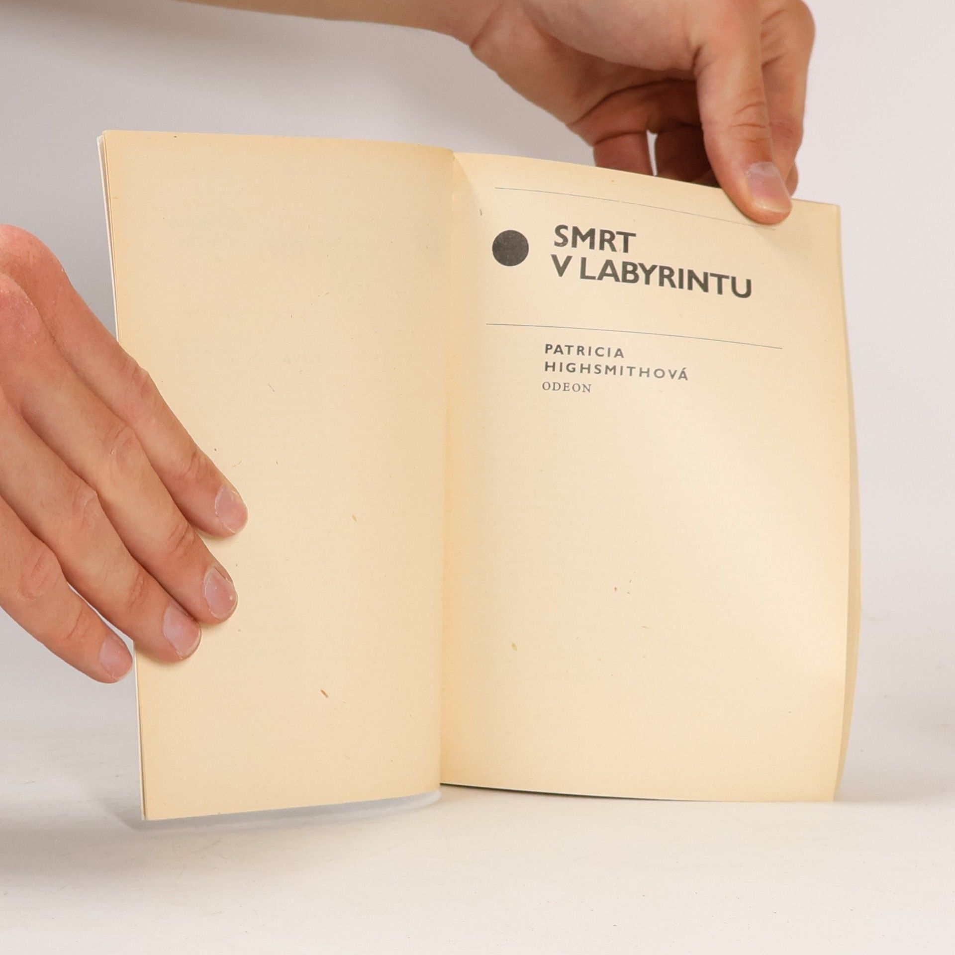 Patricia Highsmith Smrt v labyrintu