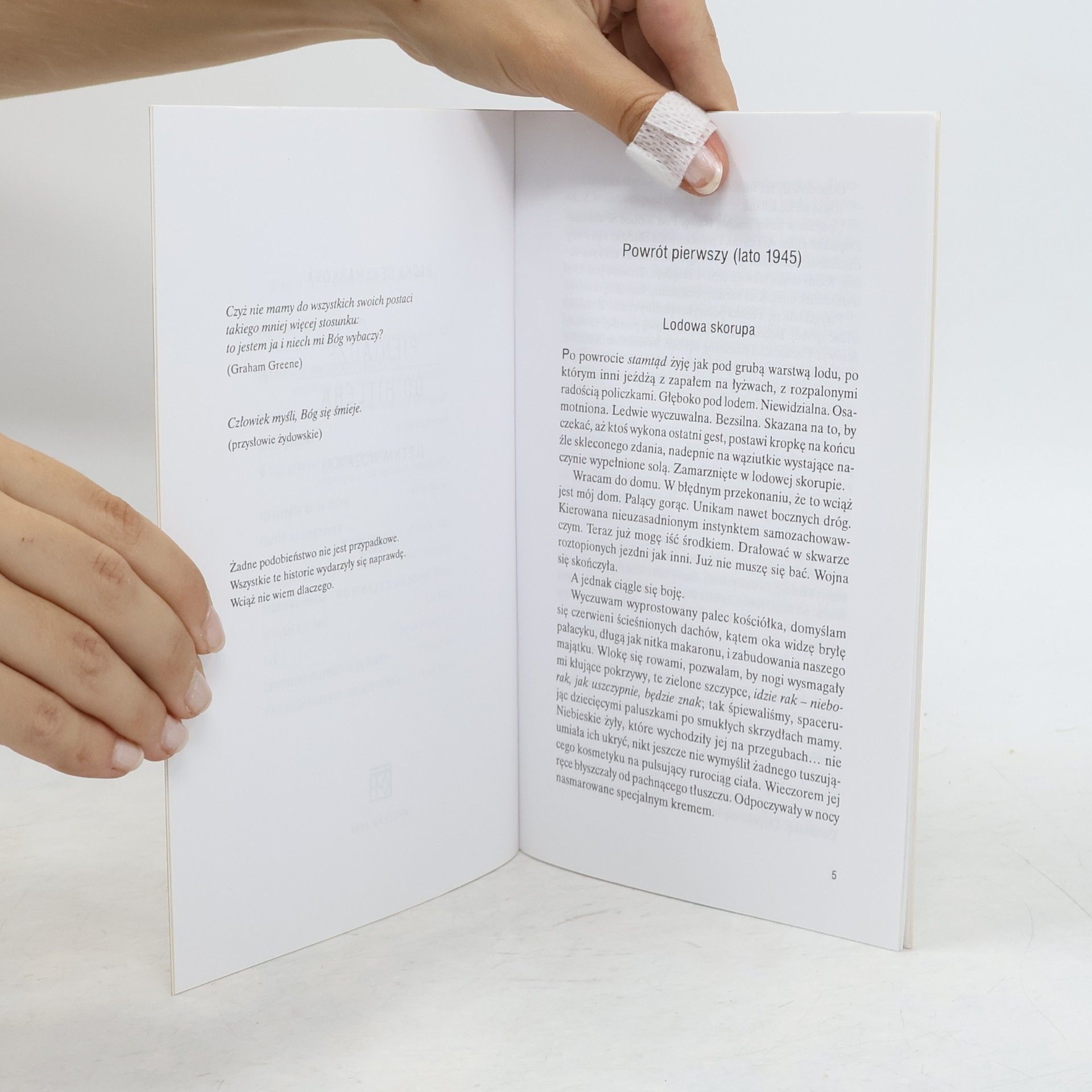 Radka Denemarková Pieniądze od Hitlera (letnia mozaika)