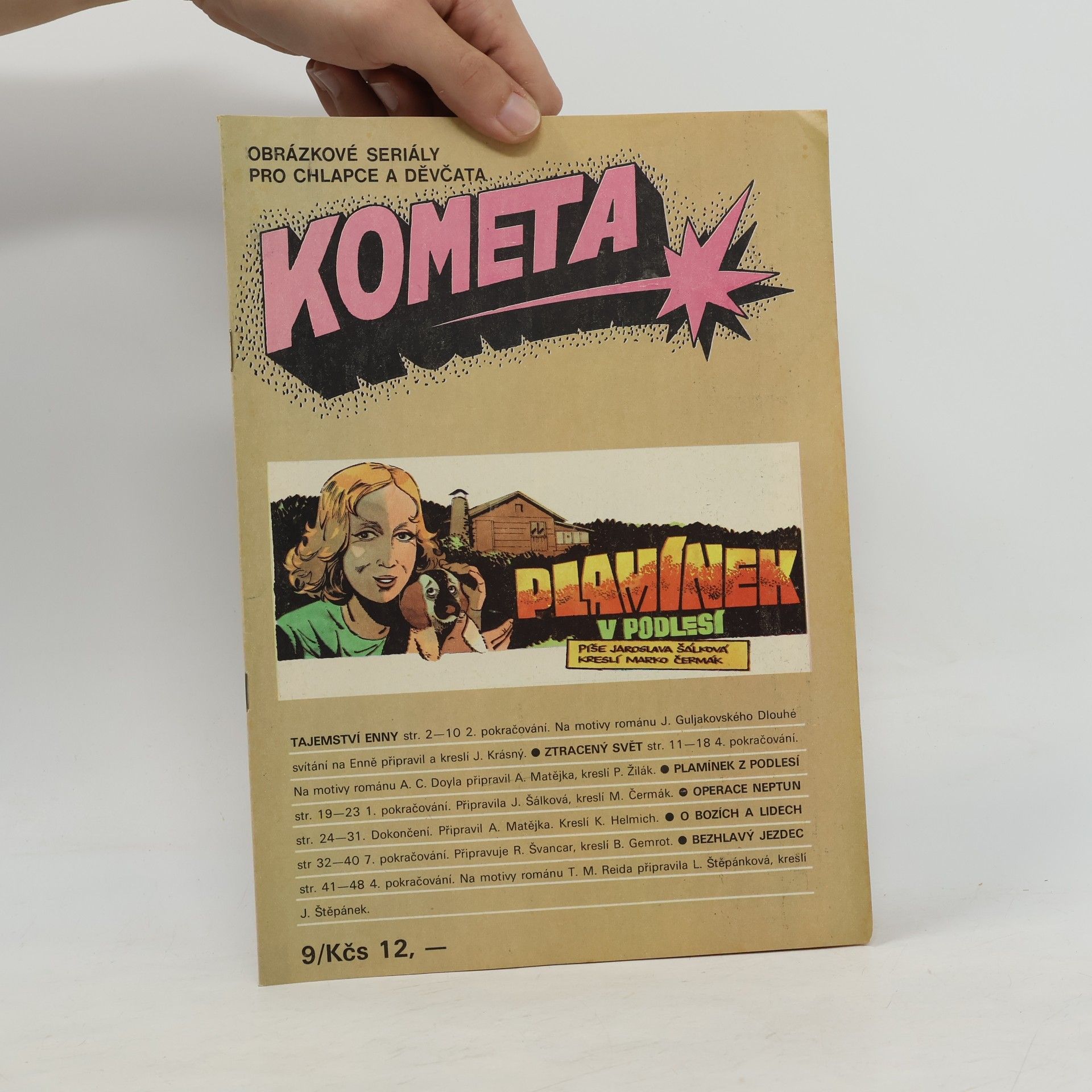 Various authors Kometa. Plamínek v podlesí