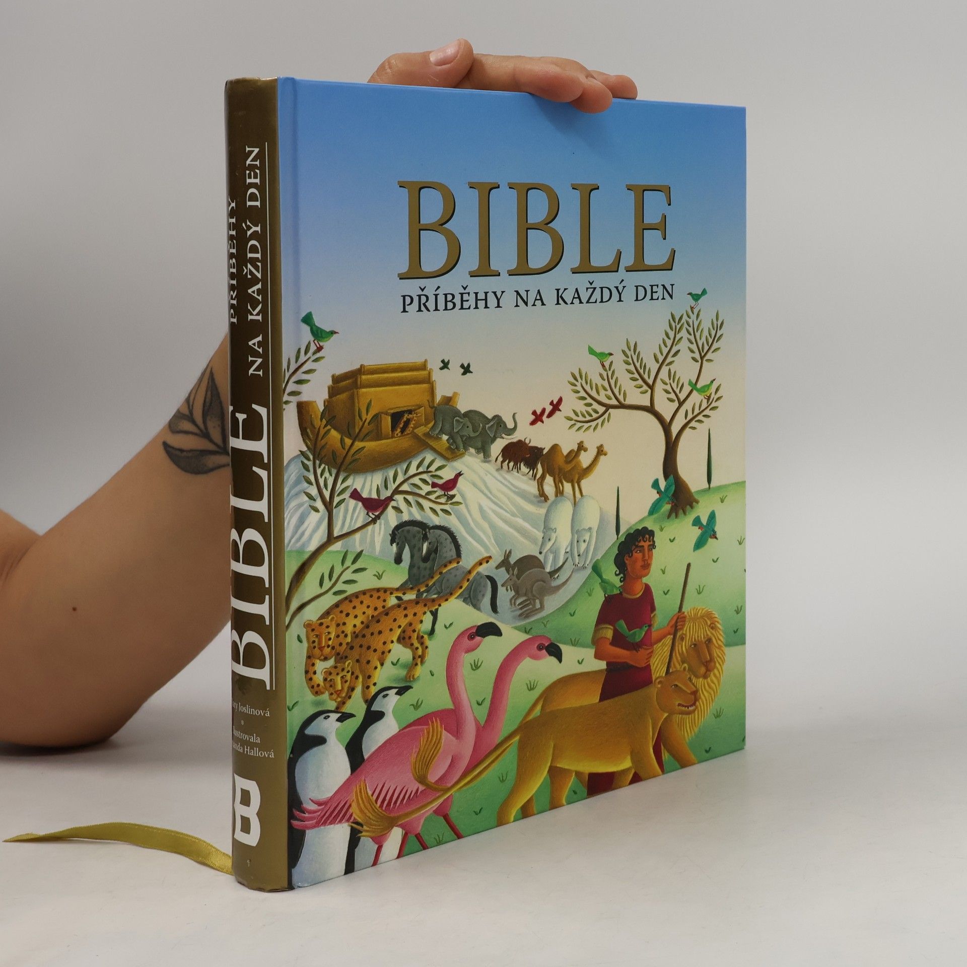 Mary Joslin Bible : příběhy na každý den