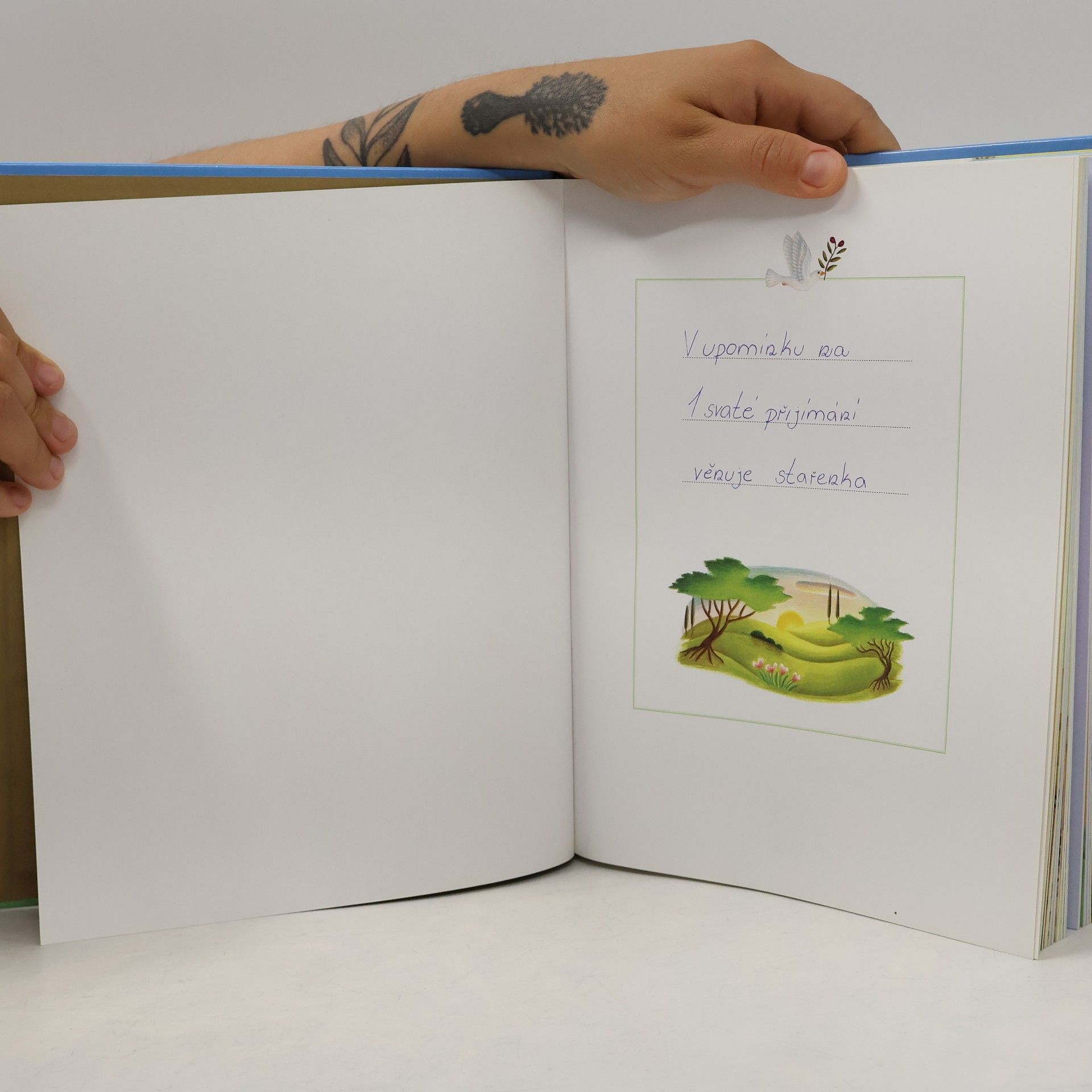 Mary Joslin Bible : příběhy na každý den