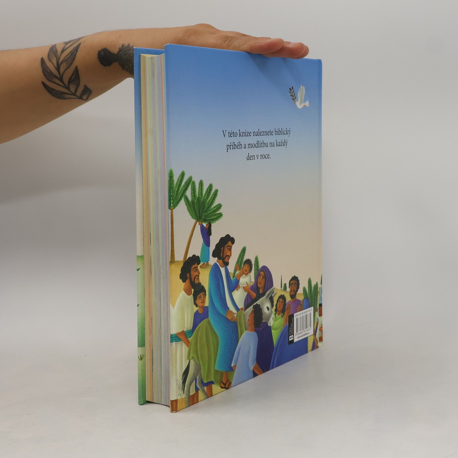 Mary Joslin Bible : příběhy na každý den