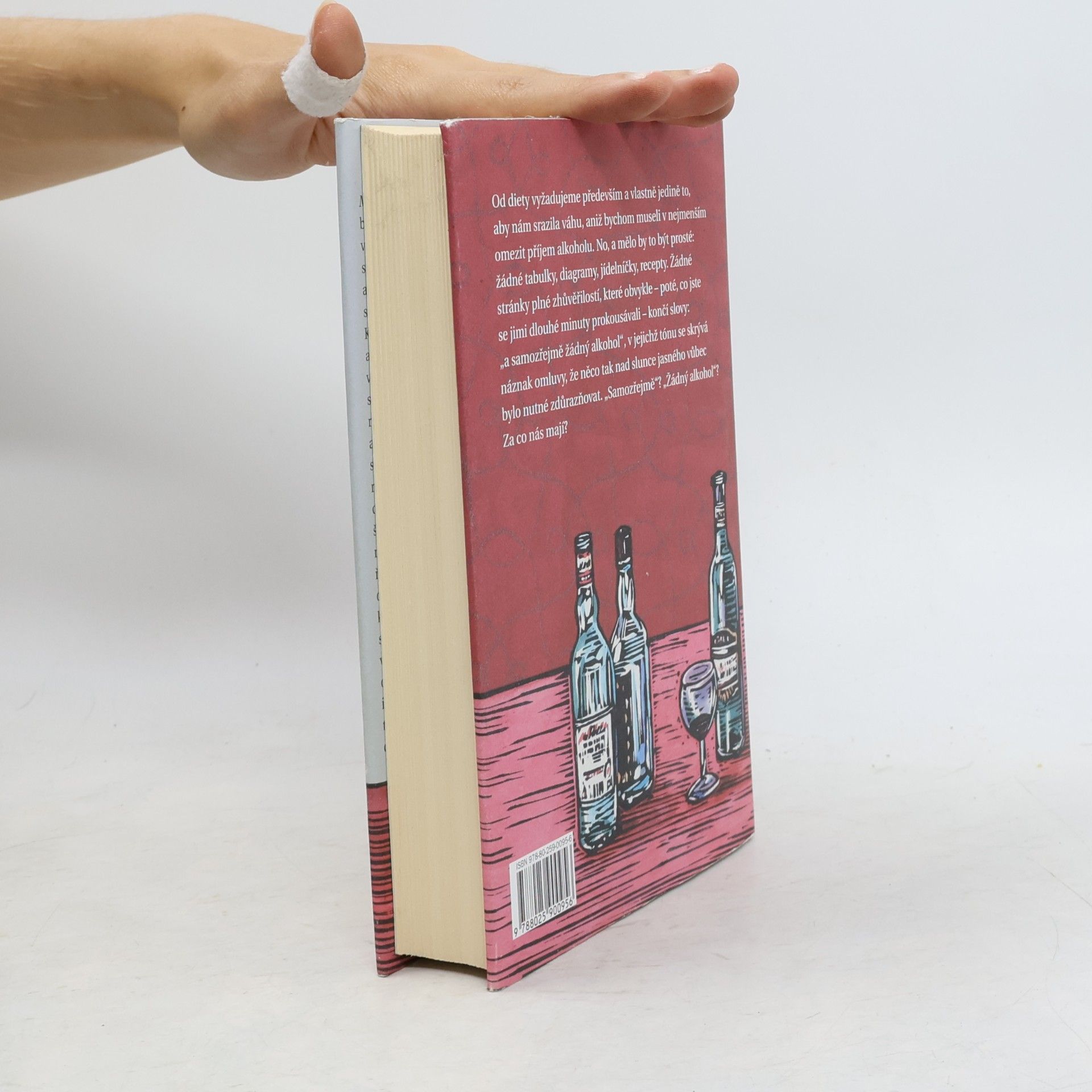 Kingsley Amis Manuál každodenního pijáka