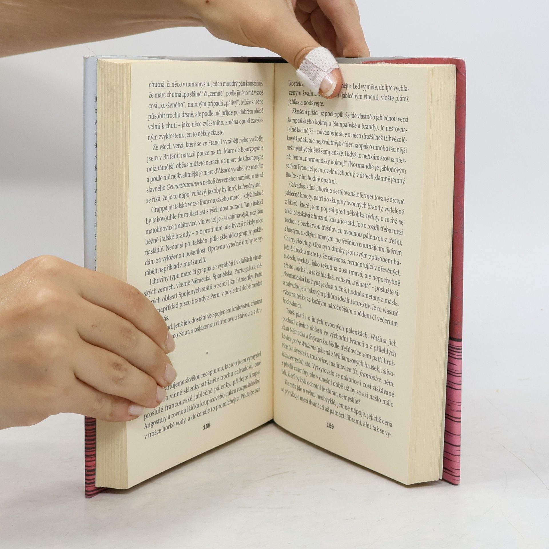 Kingsley Amis Manuál každodenního pijáka