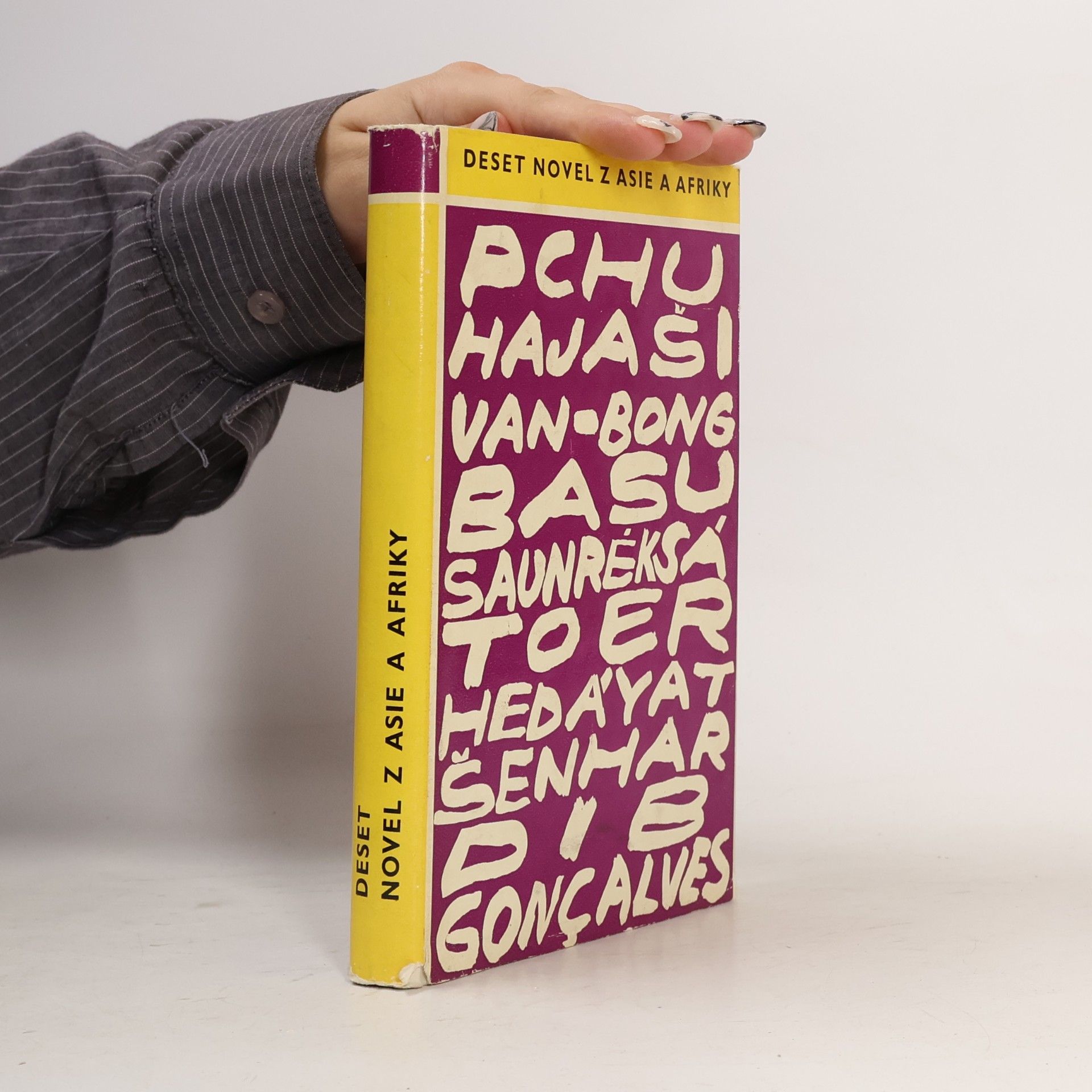 Autorenkollektiv Deset novel z Asie a Afriky