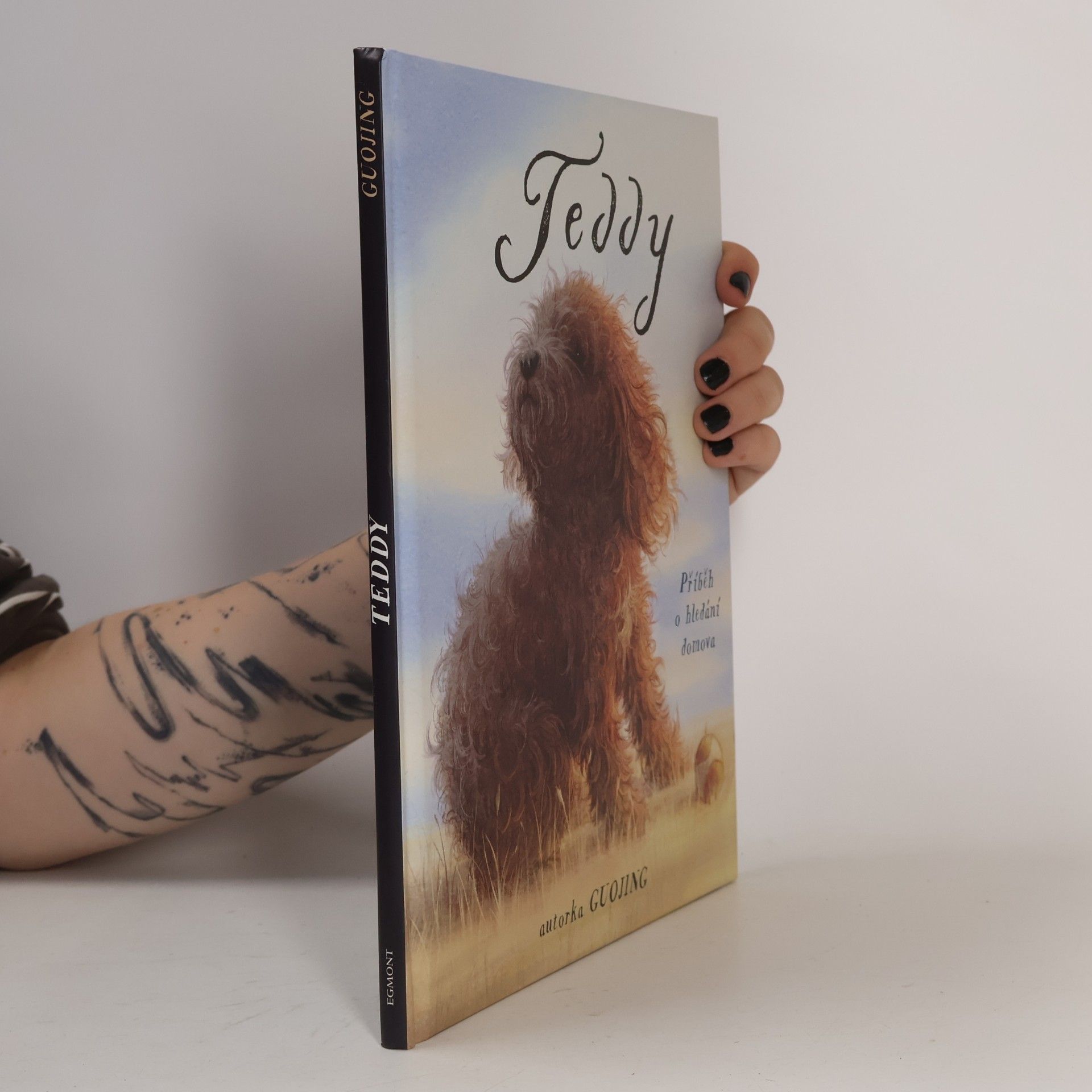 Guojing Teddy : příběh o hledání domova