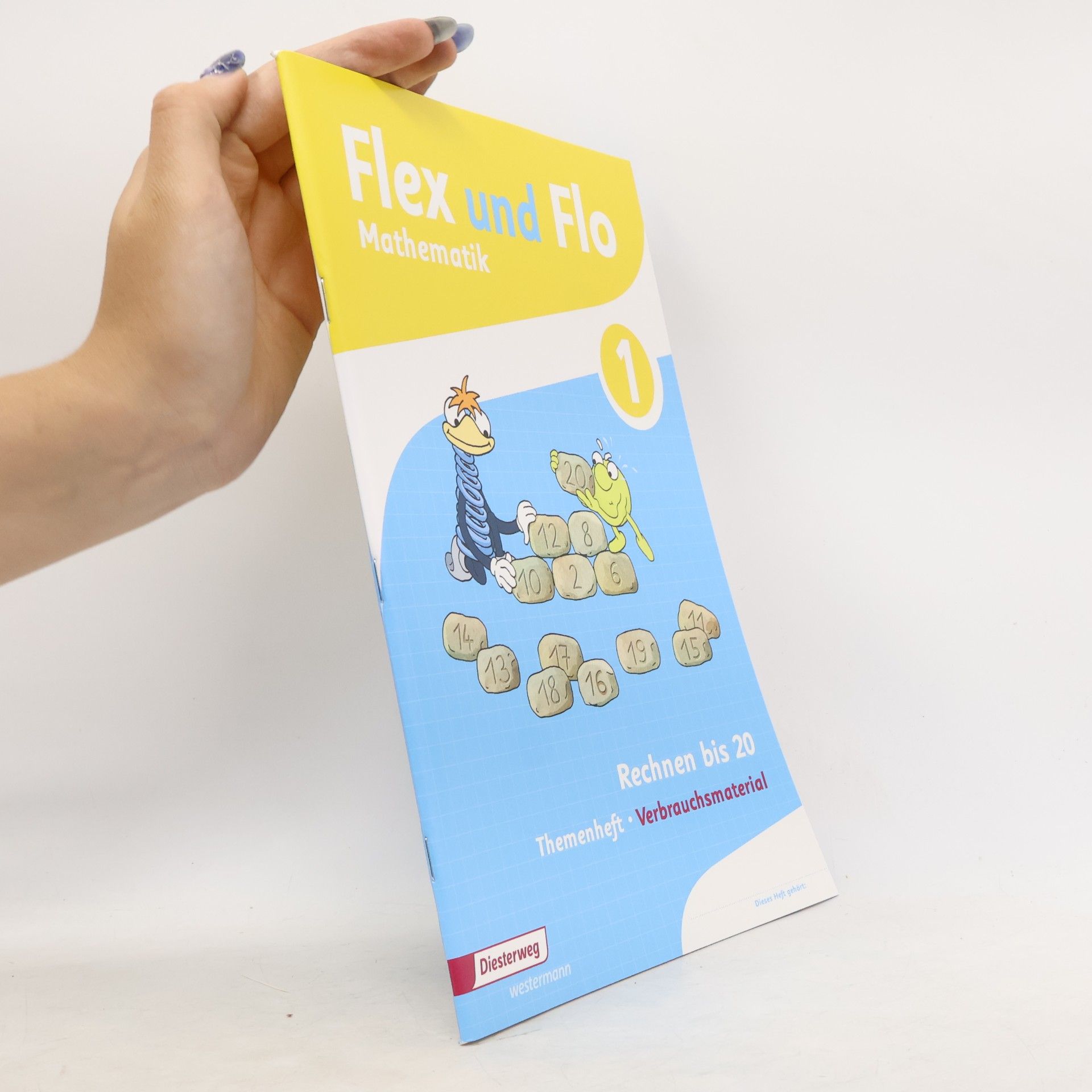 Nadja Lother Flex und Flo - 1: Rechnen bis 20 (Verbrauchsmaterial). Themenheft