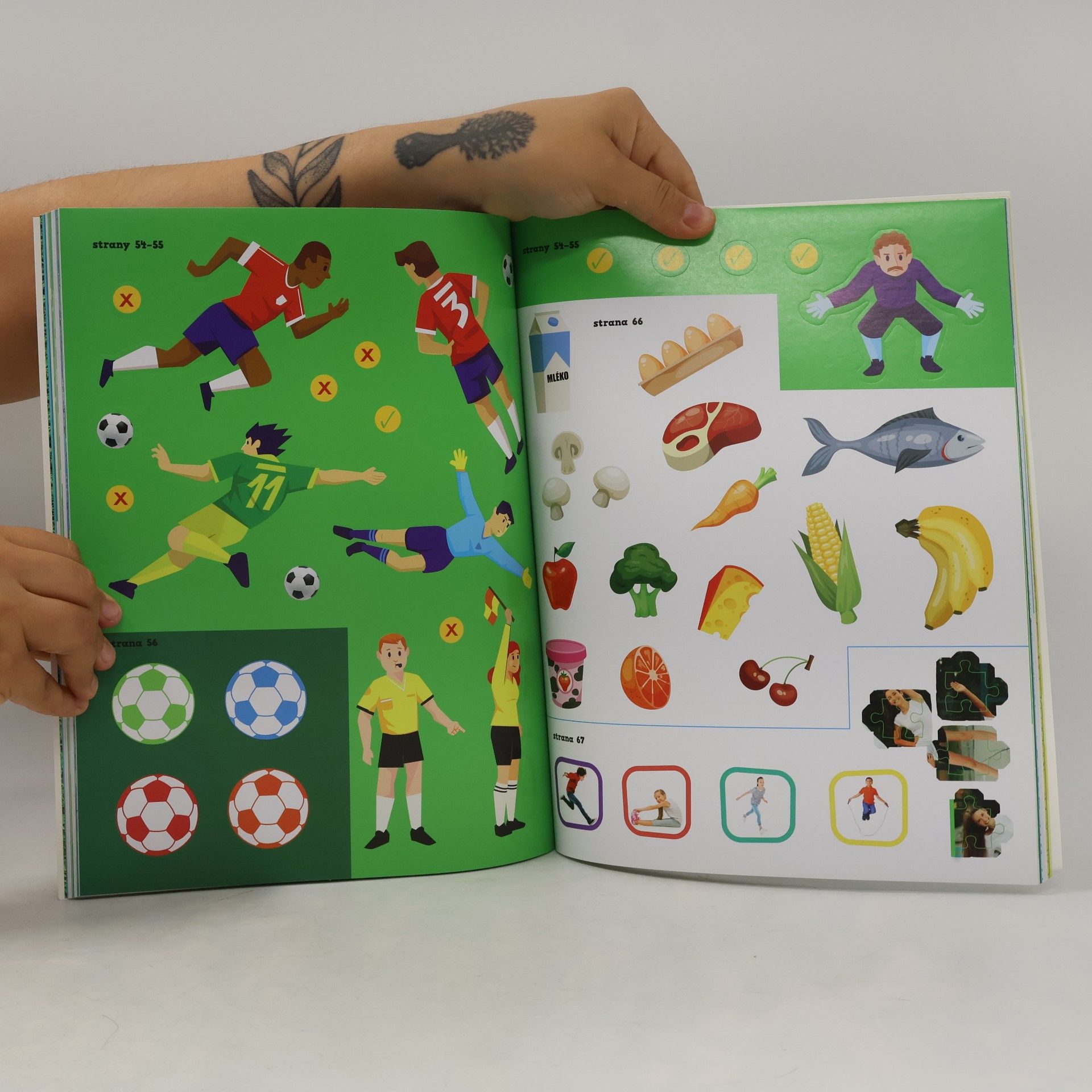 Various authors Velká kniha samolepek Fotbal