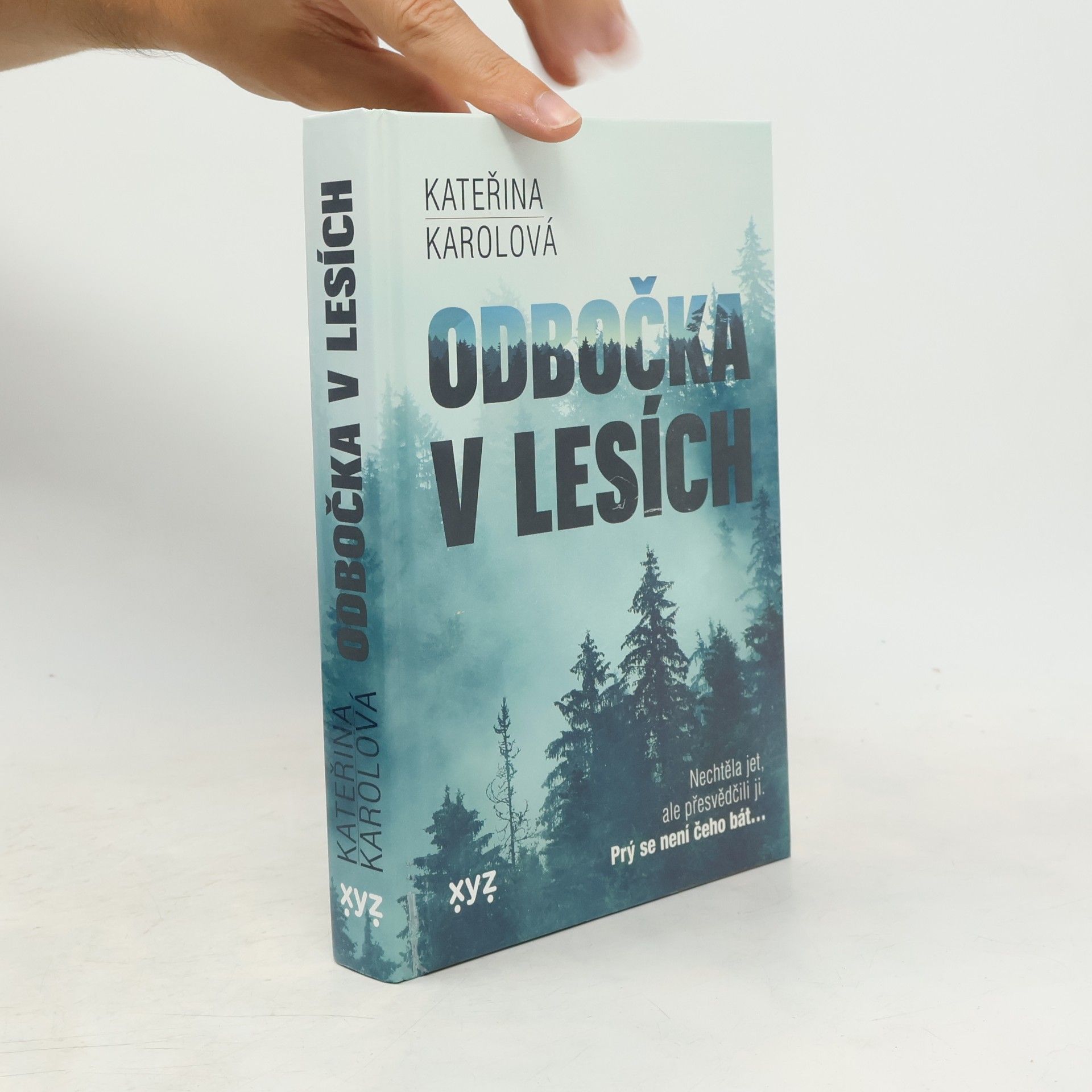Kateřina Karolová Odbočka v lesích