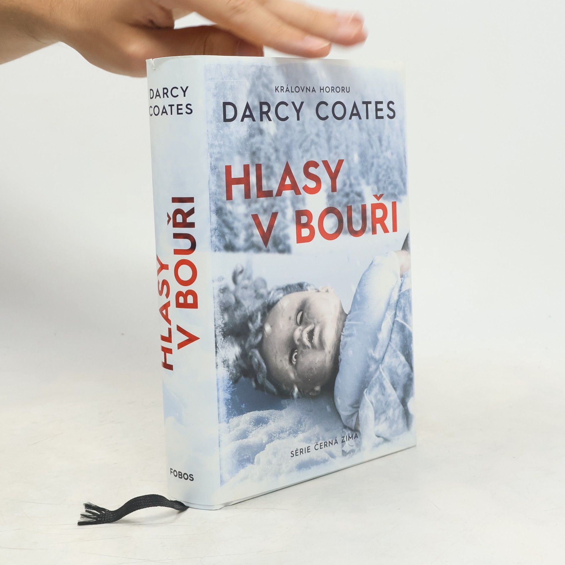 Darcy Coates Hlasy v bouři
