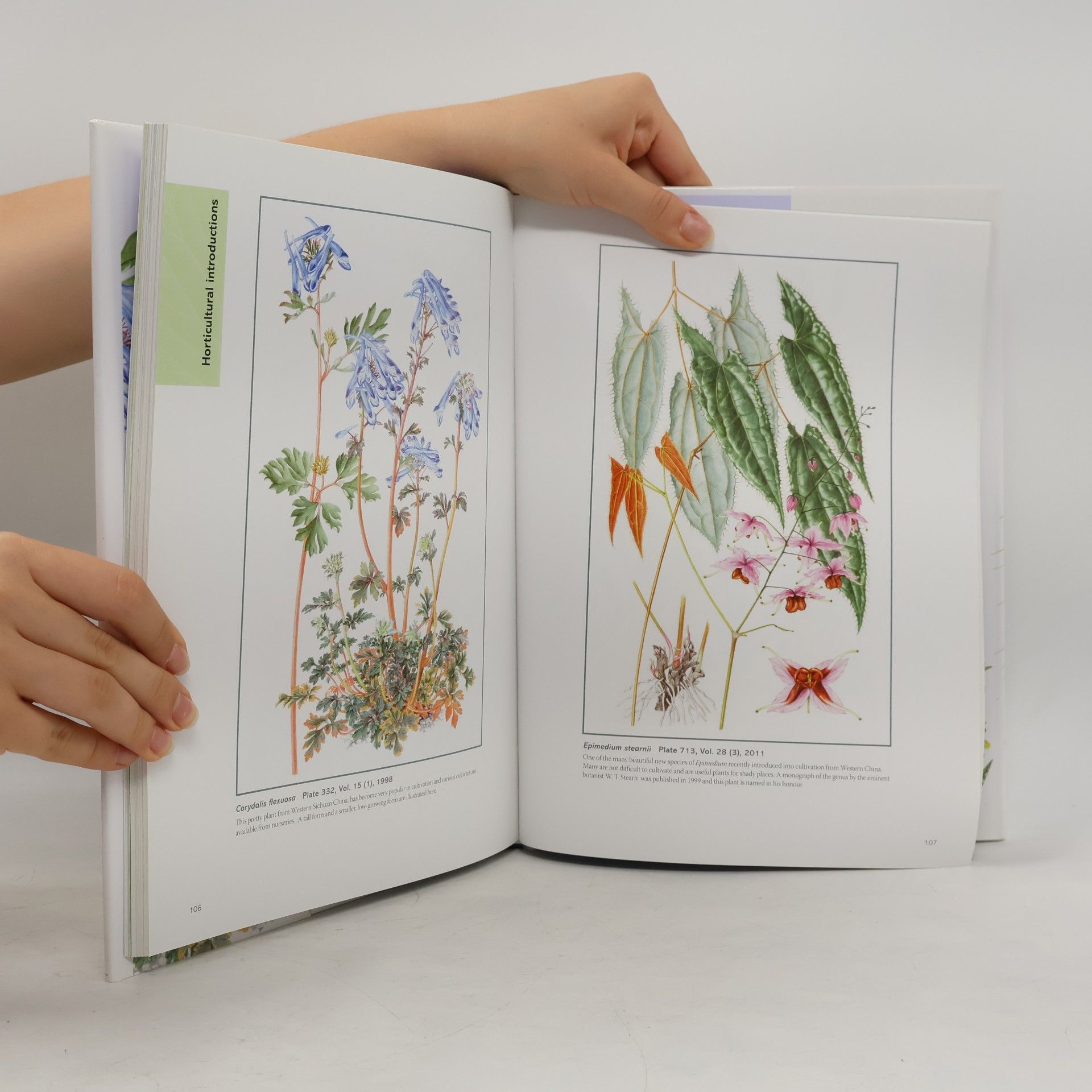 Christabel King The Kew book of botanical illustration