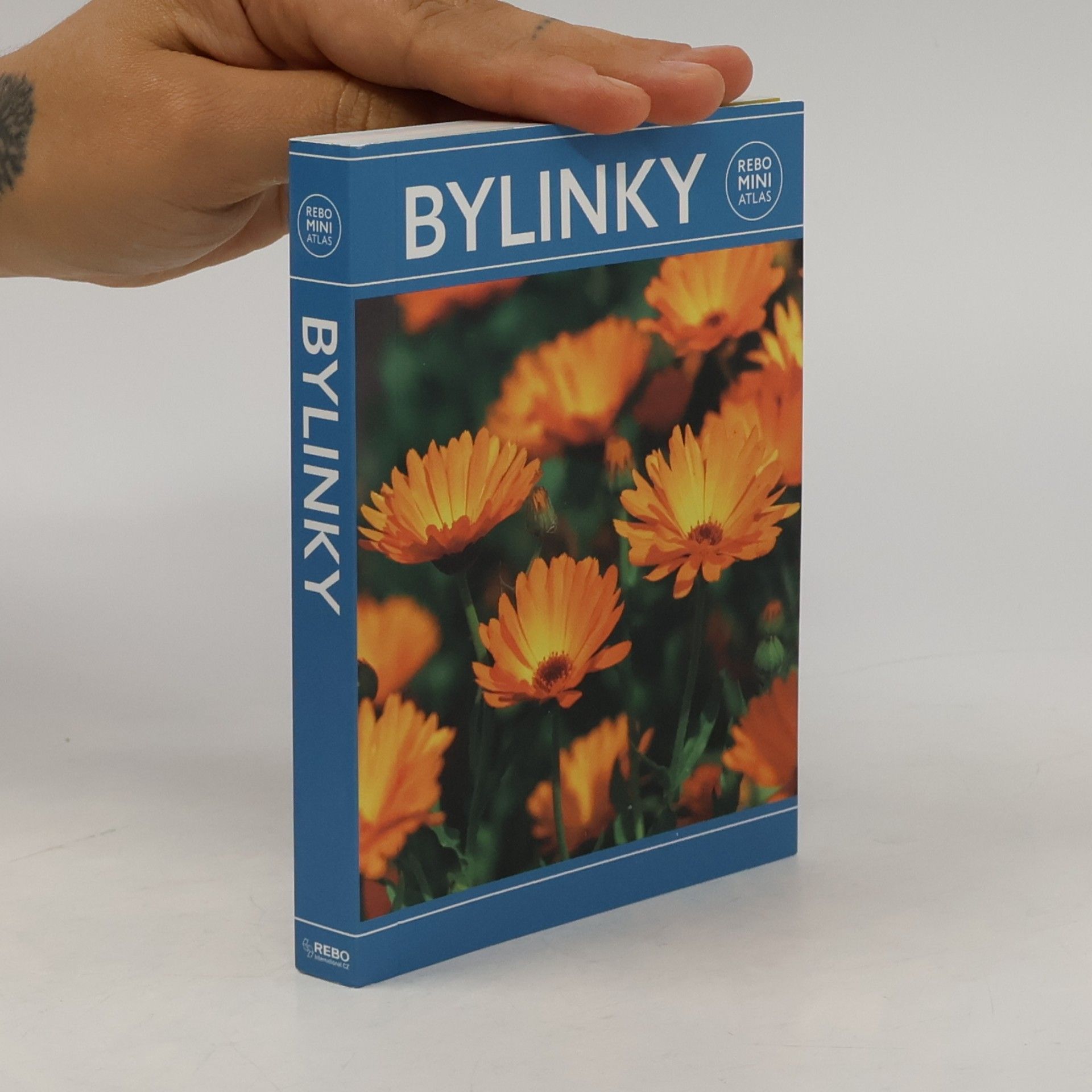 Hanneke van Dijk Bylinky