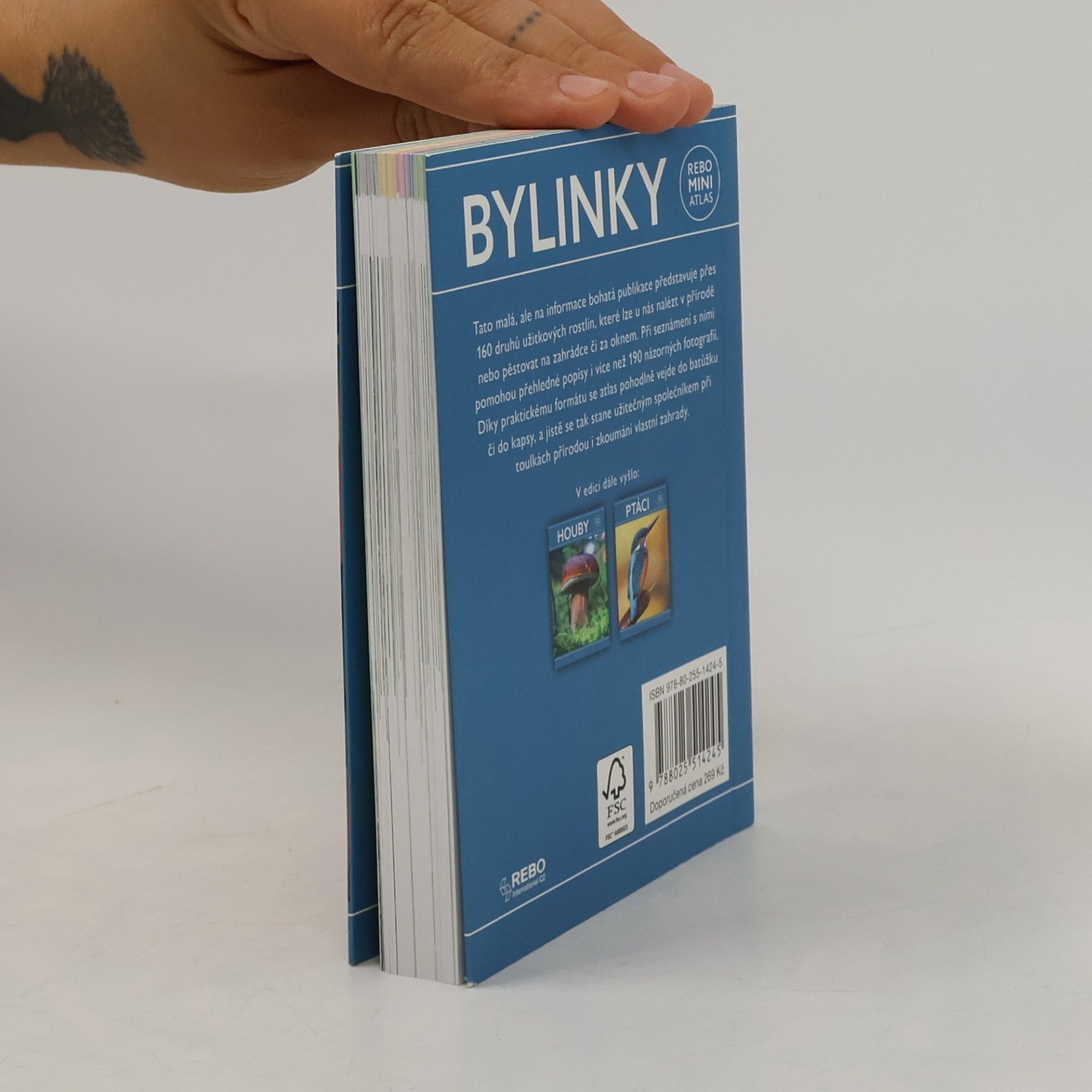 Hanneke van Dijk Bylinky