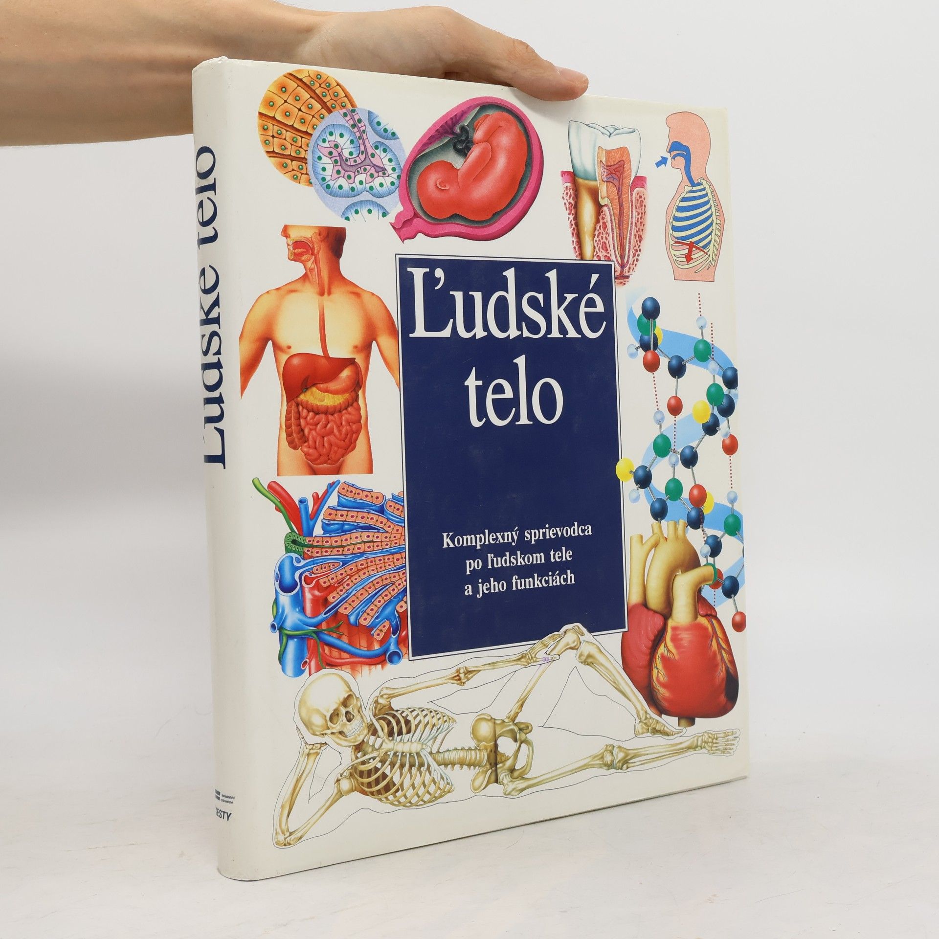 Collectif d'auteurs Ľudské telo