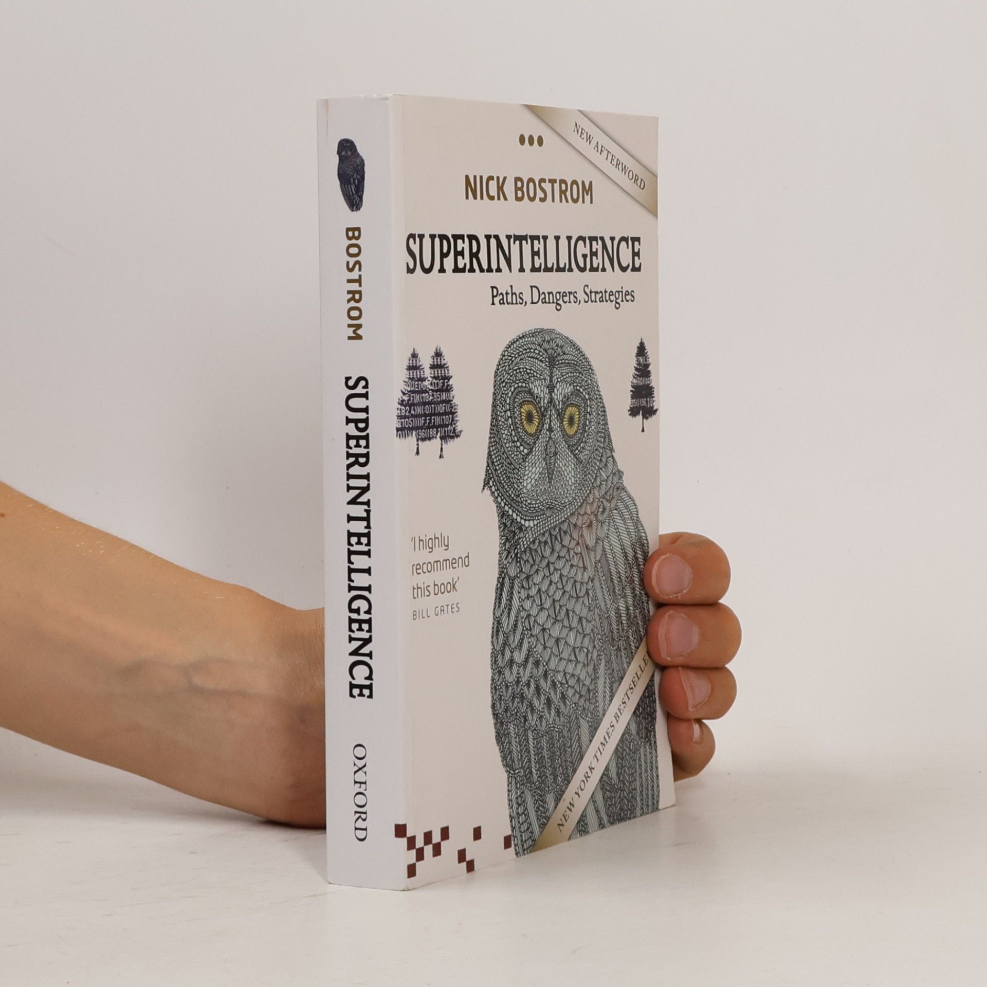 Nick Bostrom Superintelligence