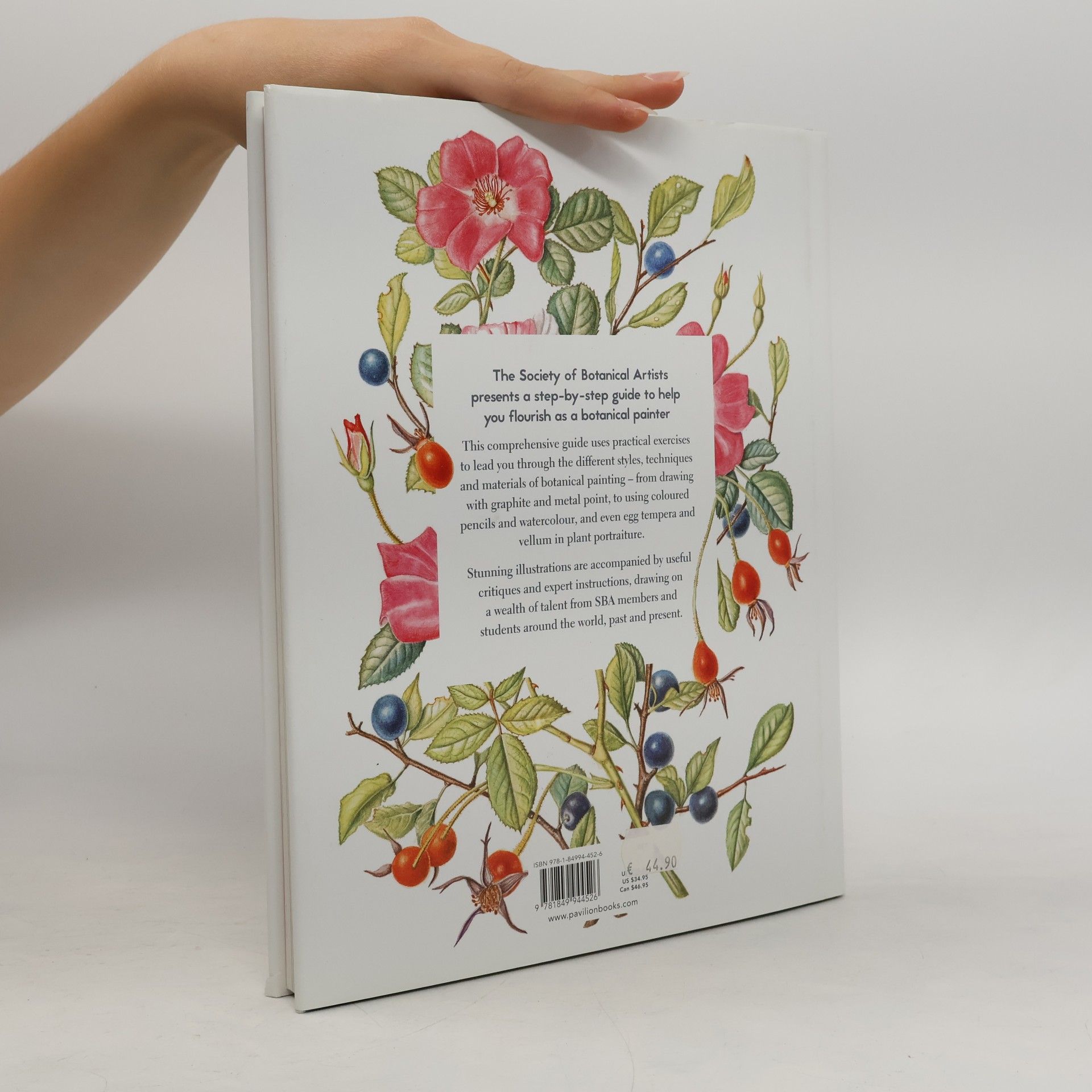 Margaret Stevens Botanical Painting with the Society of Botanical Artists