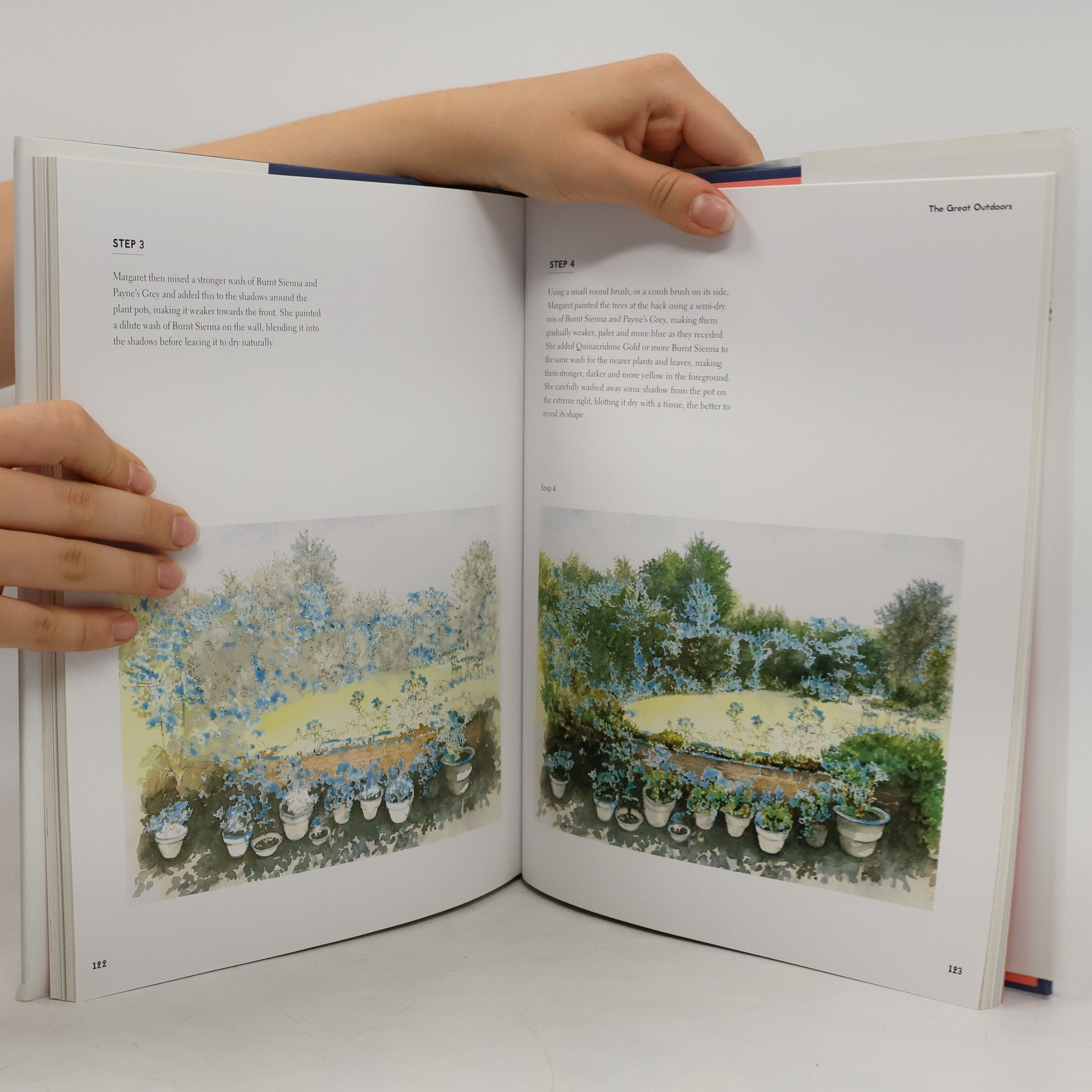 Margaret Stevens Botanical Painting with the Society of Botanical Artists