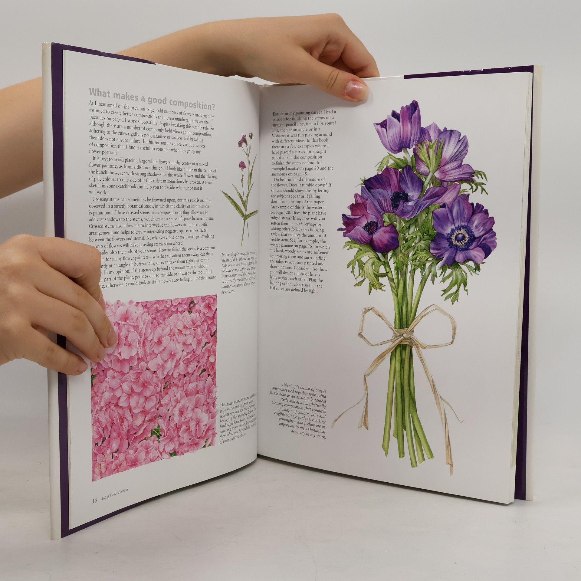 Billy Showell A-Z of Flower Portraits
