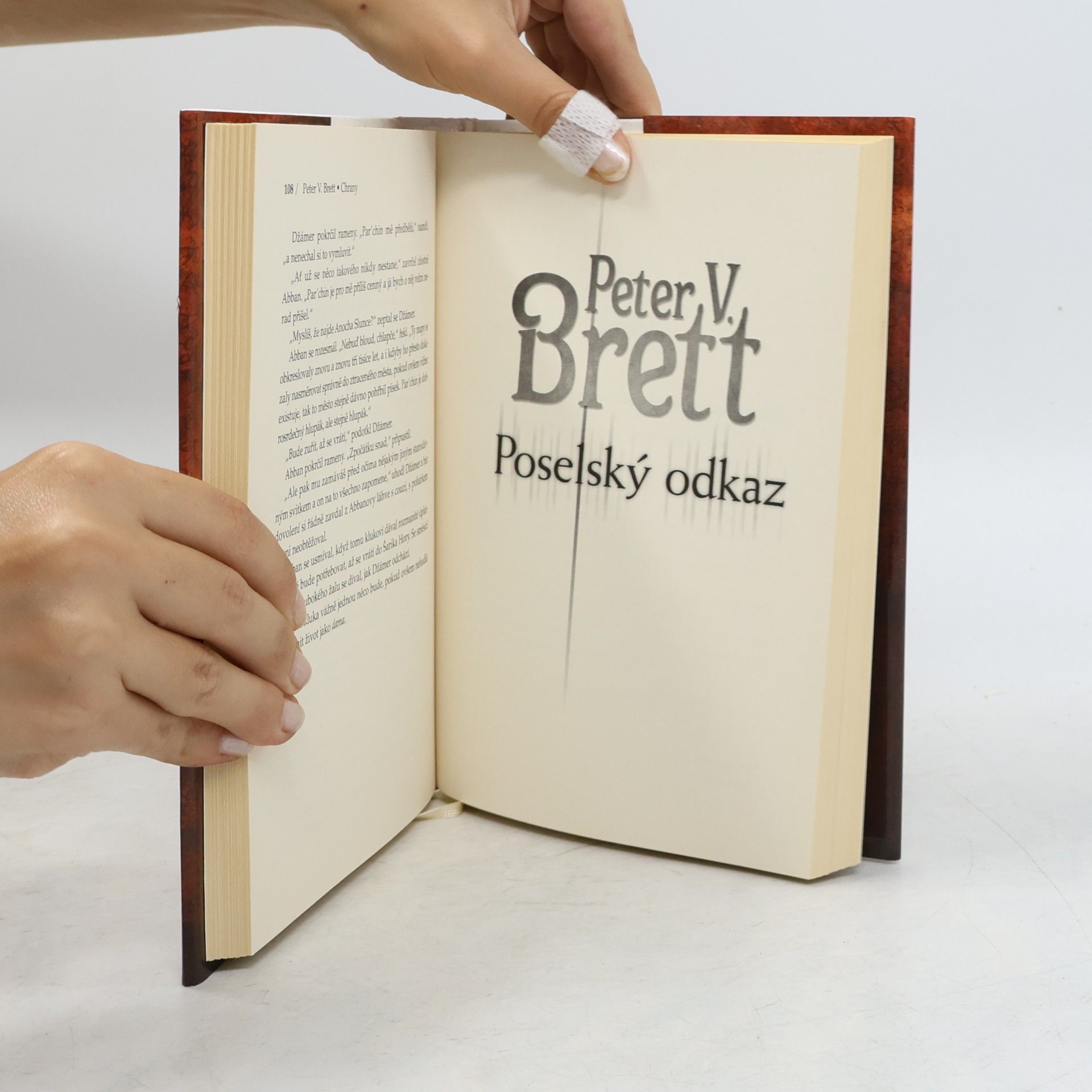 Peter V. Brett Chrany