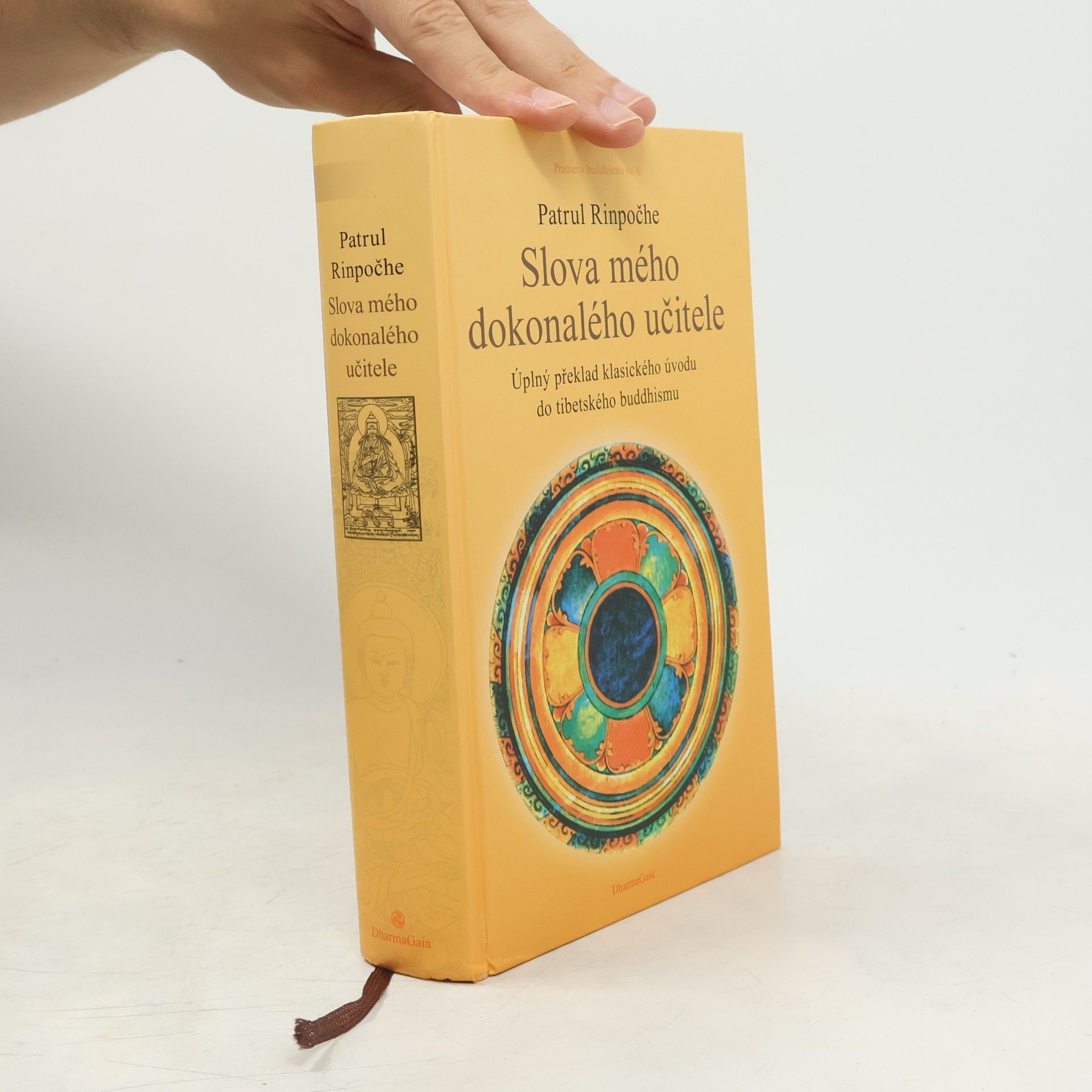 Patrul Rinpočhe Slova mého dokonalého učitele